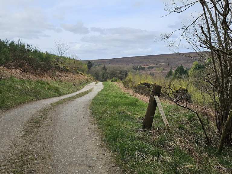 Spiers Bank Trail – Hikes & How to Get There | Komoot
