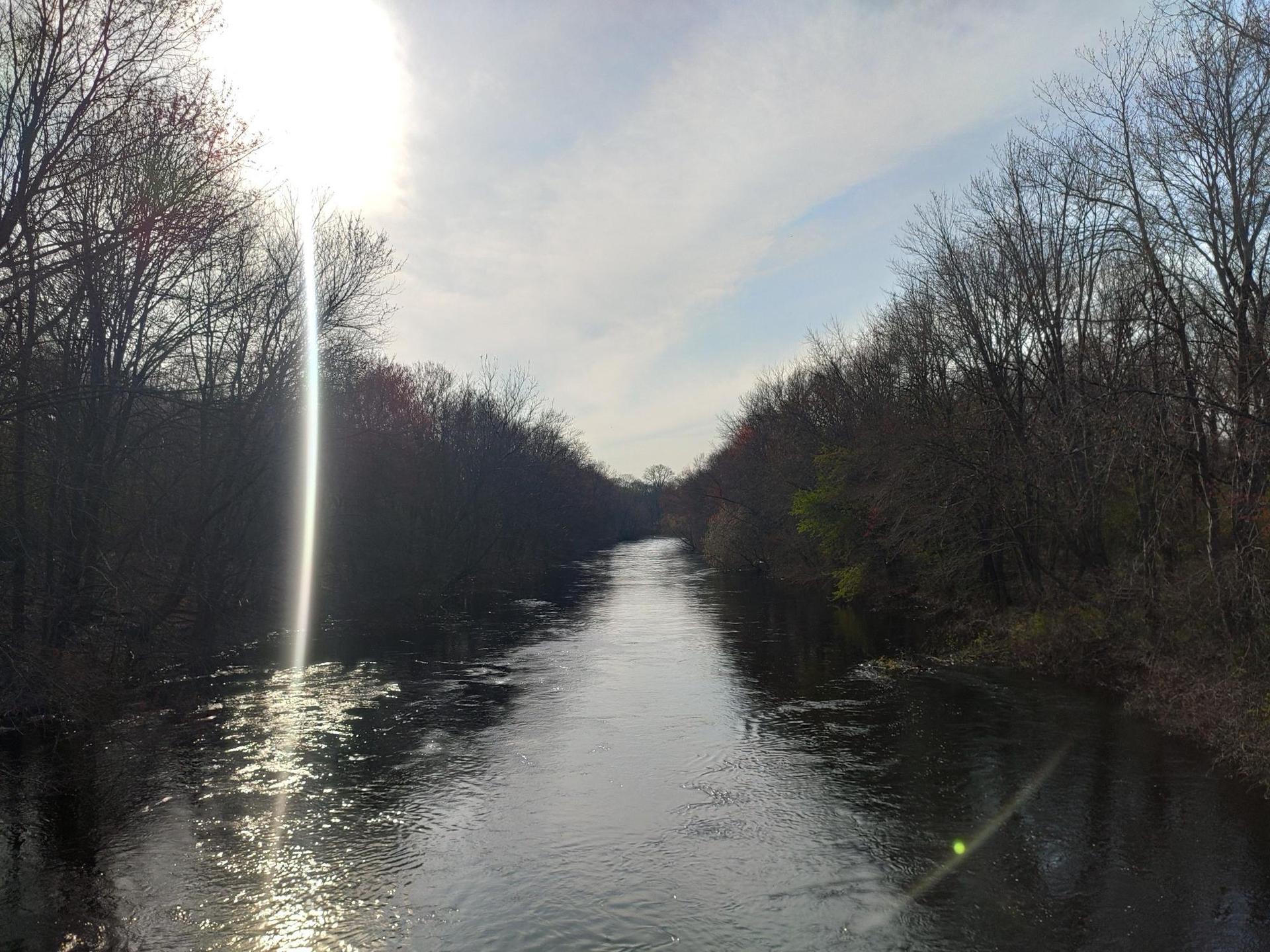 A wide river flows between banks lined with bare trees under a bright sun.