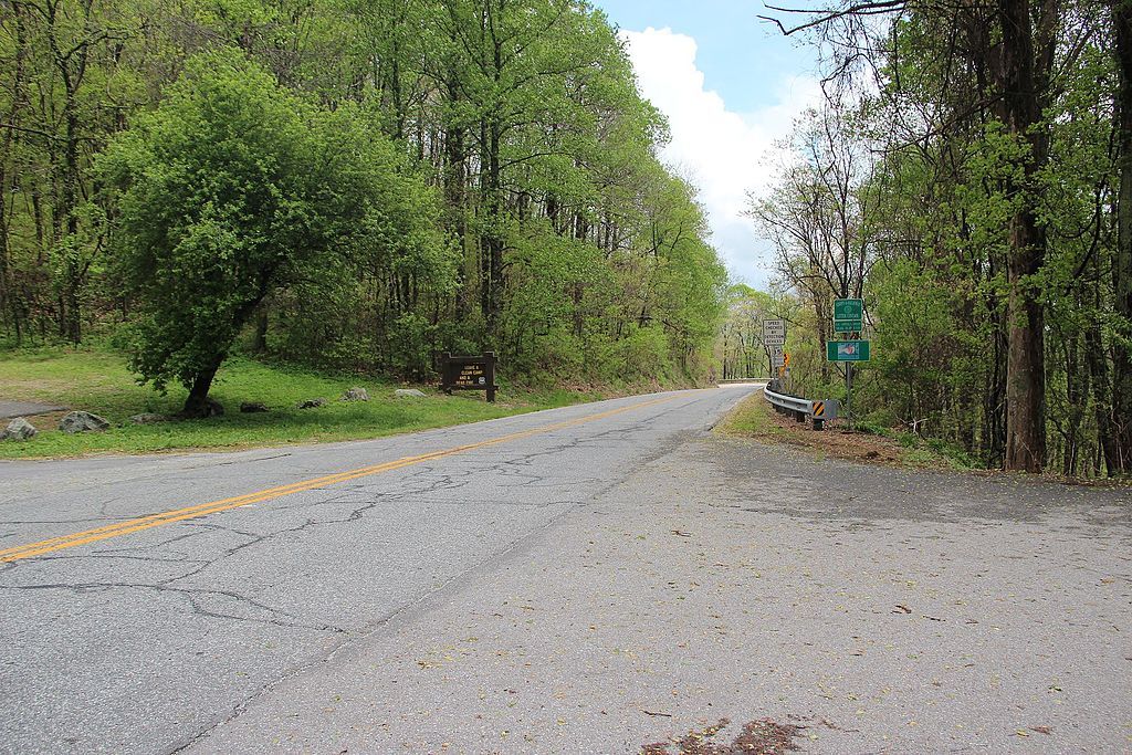 An empty paved road winds through a dense green forest on a bright day. - Morgantown Hwy Climb from Hemp loop