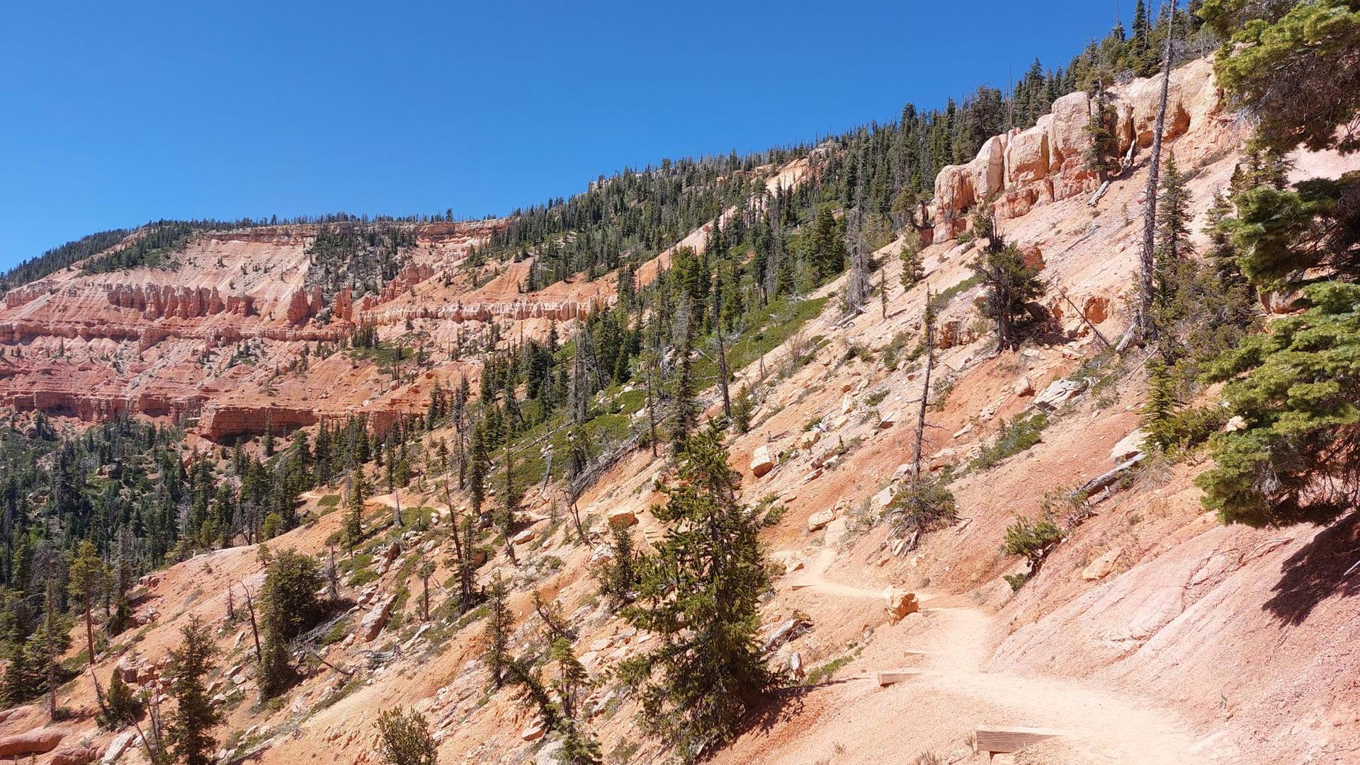 Winding dirt trail on a steep, forested hillside with red rock formations.