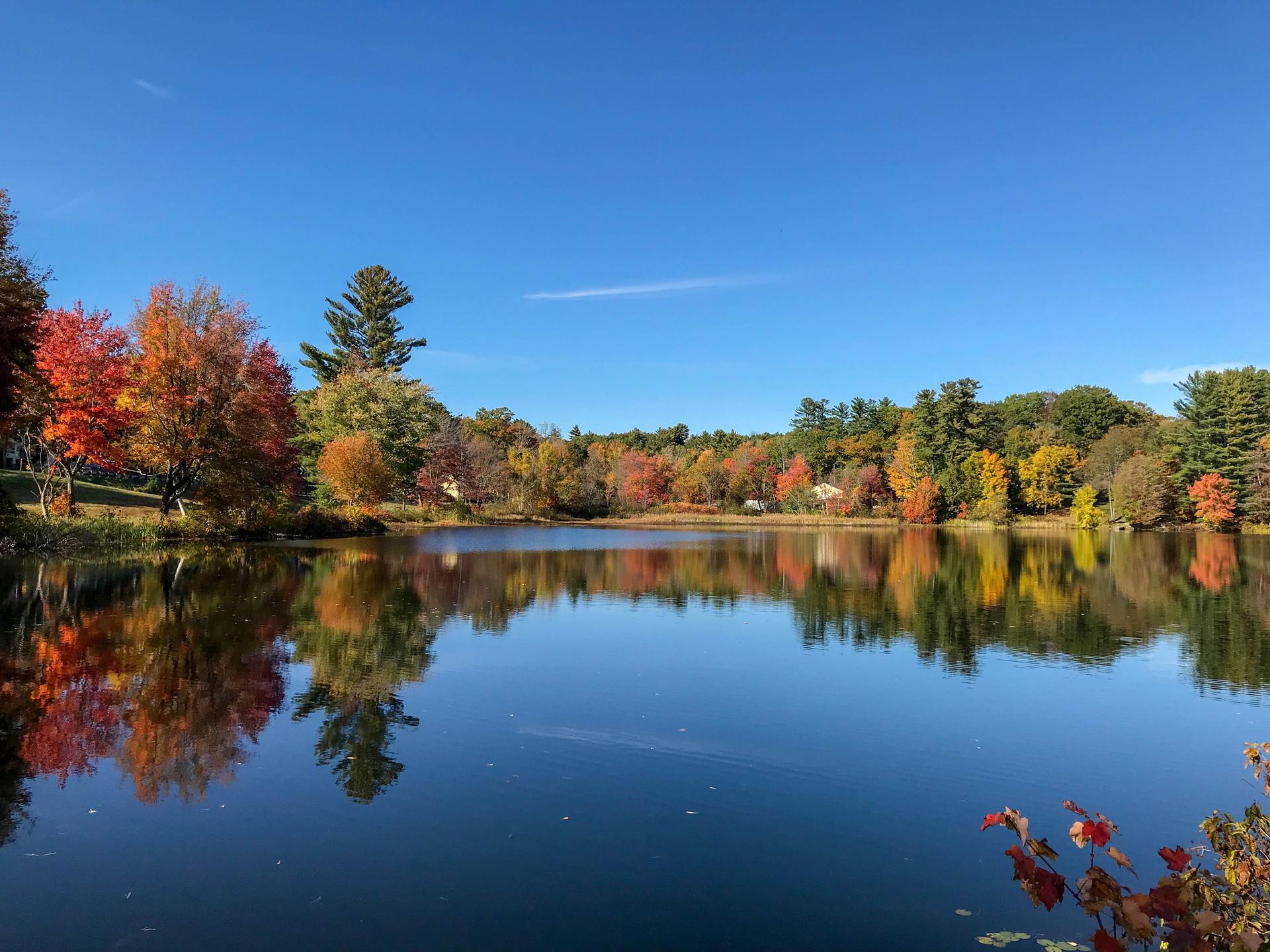 Calm lake reflecting vibrant autumn trees under a clear blue sky.