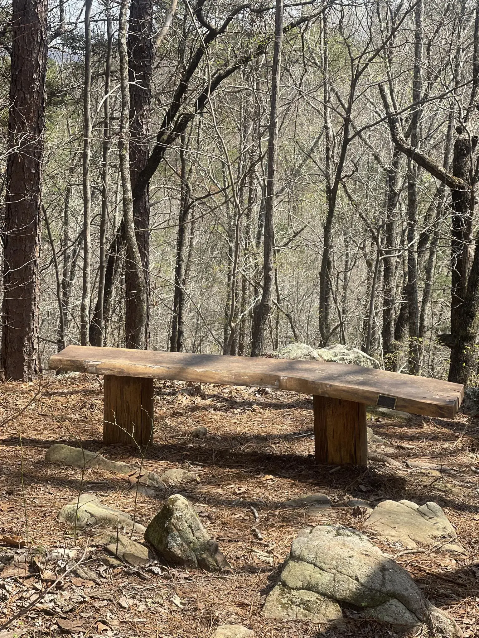 A rustic wooden bench sits in a sunlit forest with bare trees.