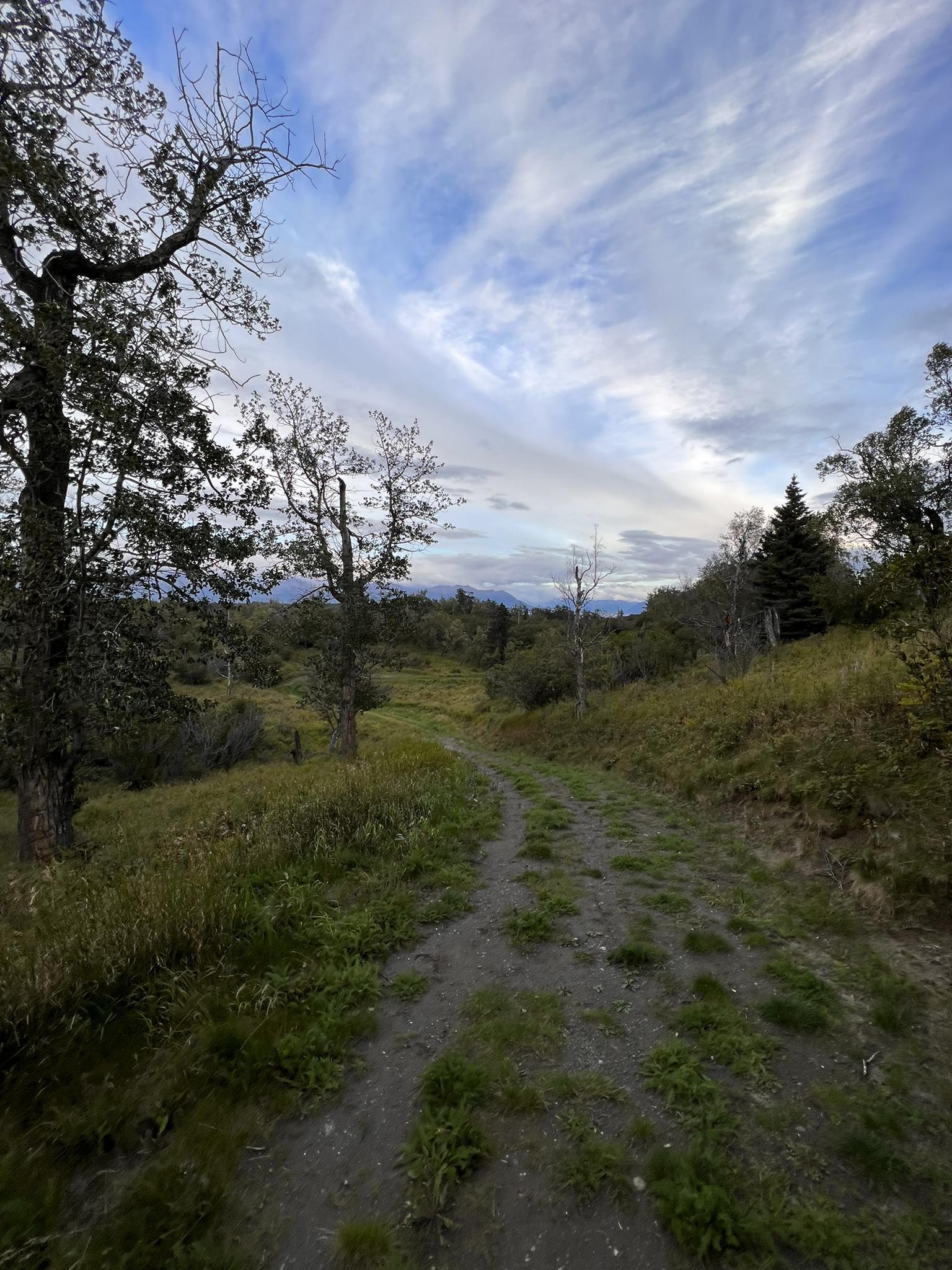 A dirt path winds through a grassy field under a cloudy sky.
