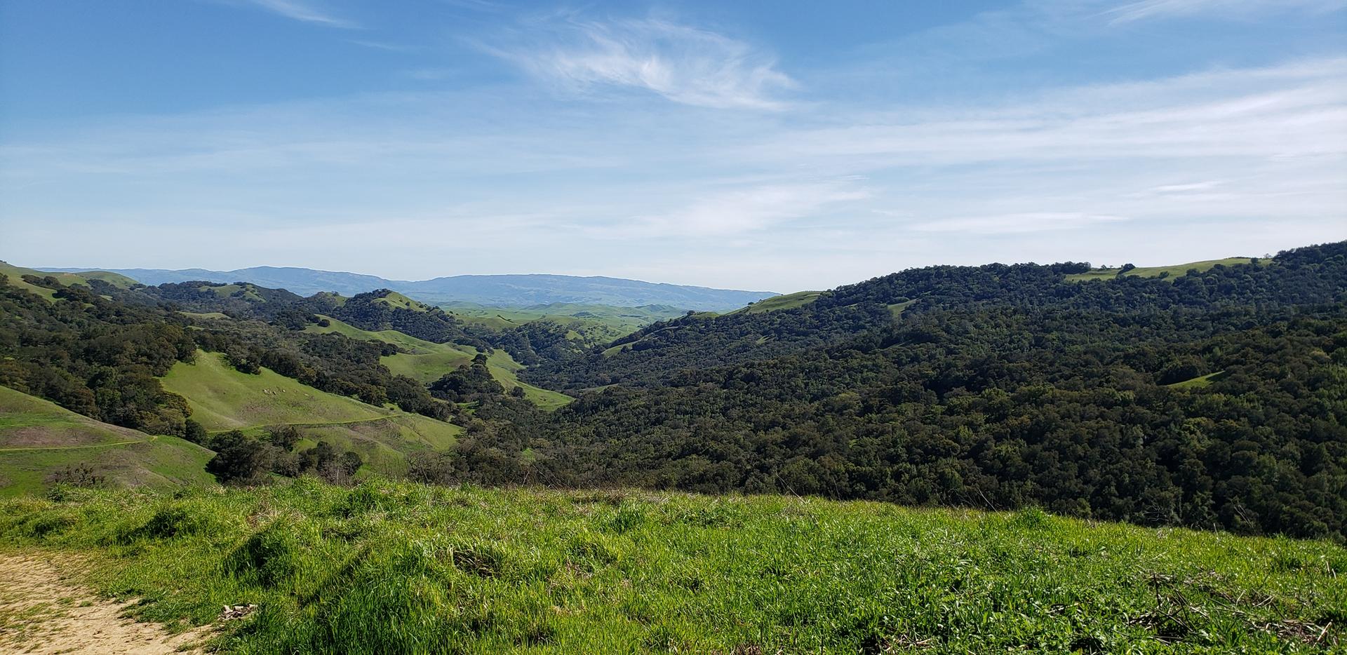 Panoramic view of lush green hills and forested valleys under a blue sky.