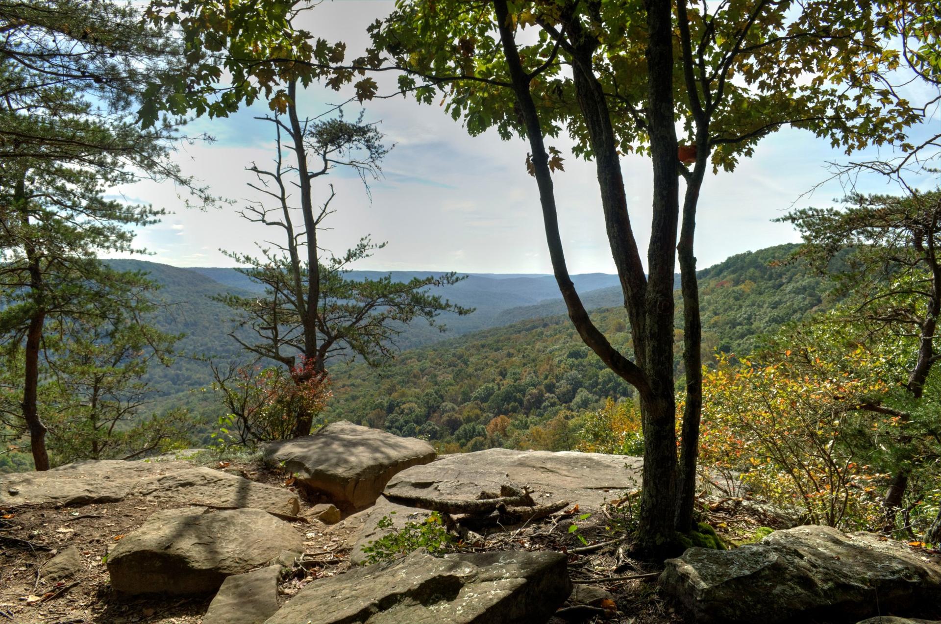 Rocky overlook with trees, overlooking a vast forested valley under a bright sky.