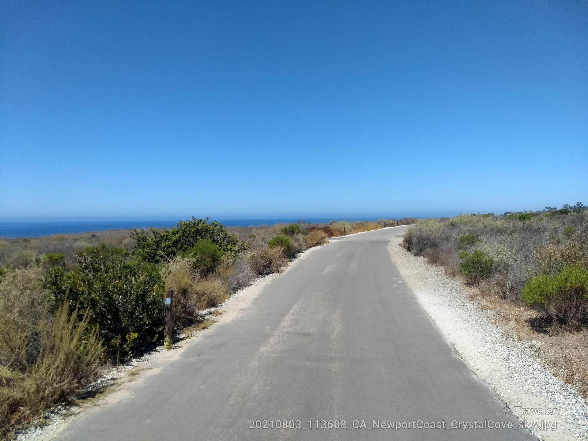 Paved road winding towards a bright blue ocean under clear skies.
