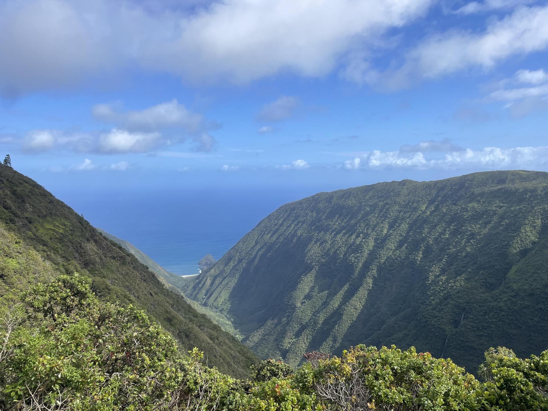 Deep green valley between mountains, leading to a bright blue ocean.