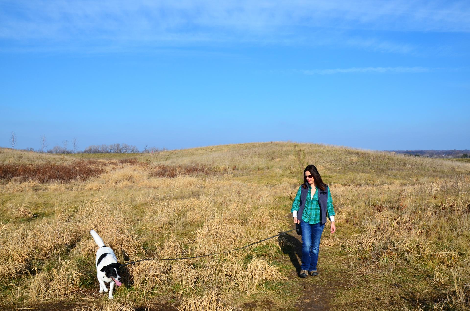 Woman walking a black and white dog on a leash in a sunny field.