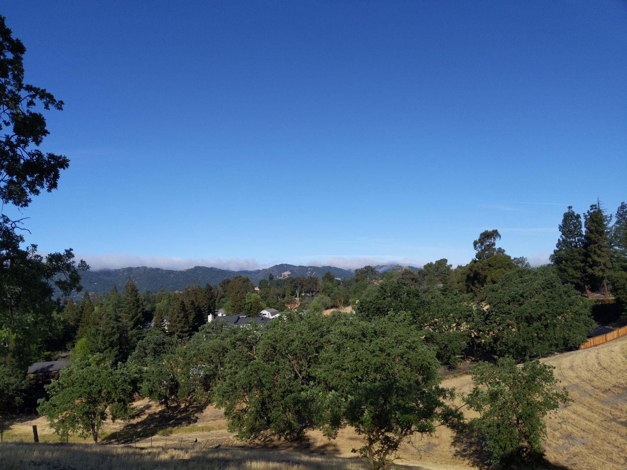 Sunny view of green trees on hillsides with distant mountains under clear sky.
