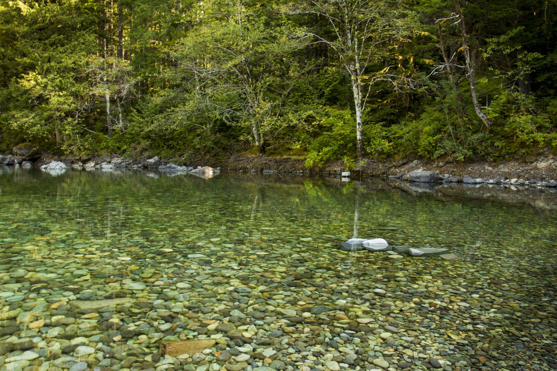 Sunlight illuminates a clear river with visible pebbles and a green forest.