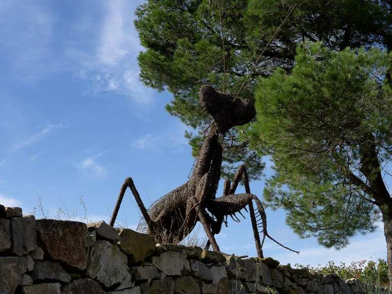 Chateau SaintEulalie MountainbikeTouren und Trails komoot