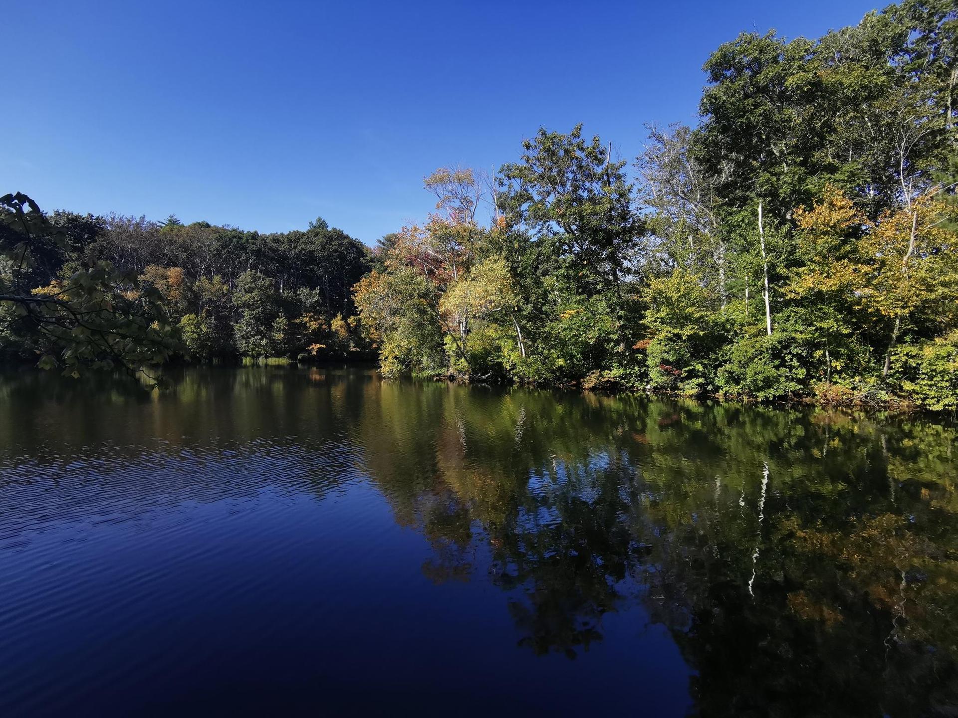 Sunny lake reflecting colorful autumn trees under a clear blue sky.