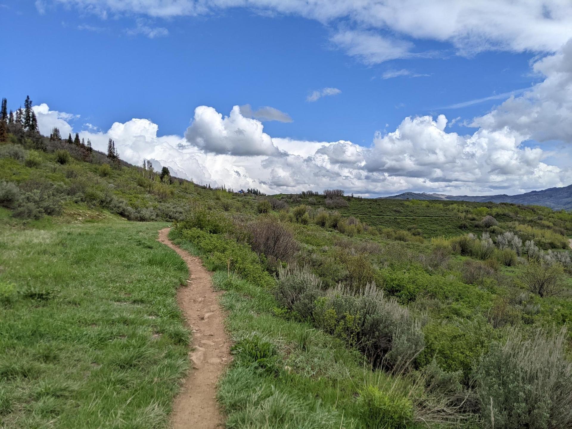 A winding dirt trail ascends a green, brush-covered hillside under a cloudy sky.