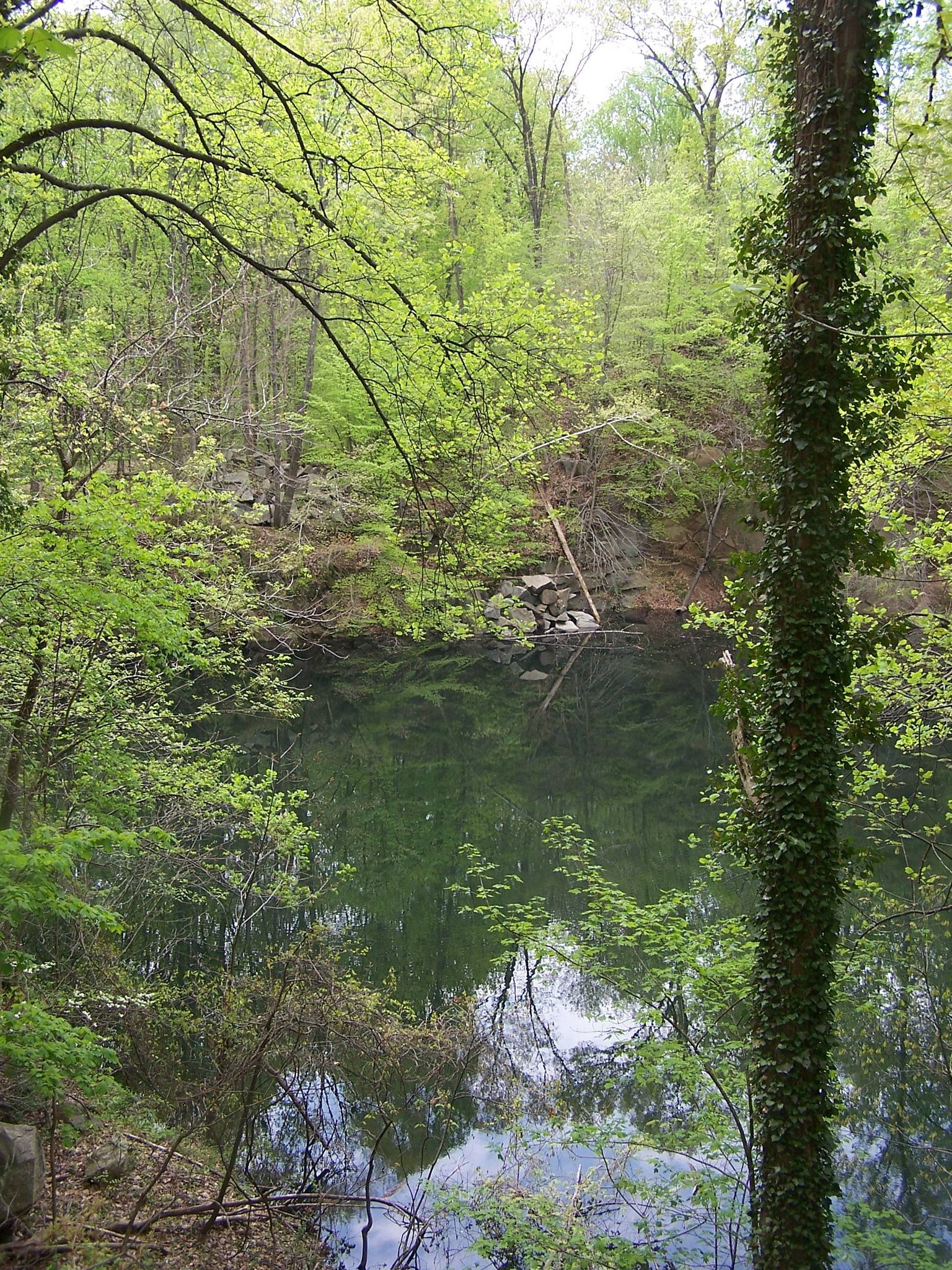 A calm, dark pond surrounded by dense green forest foliage. - Thru, Chevrolet, Joe's, and Quarry Trail Loop