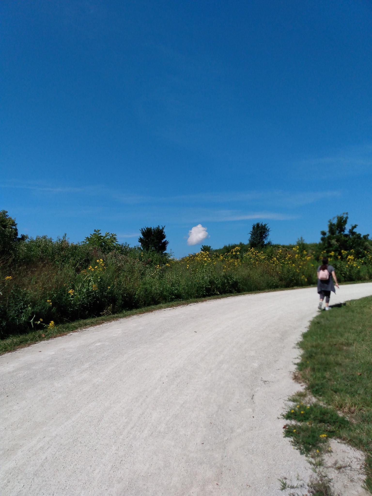 A person walks on a dirt path beside green foliage under a clear sky.