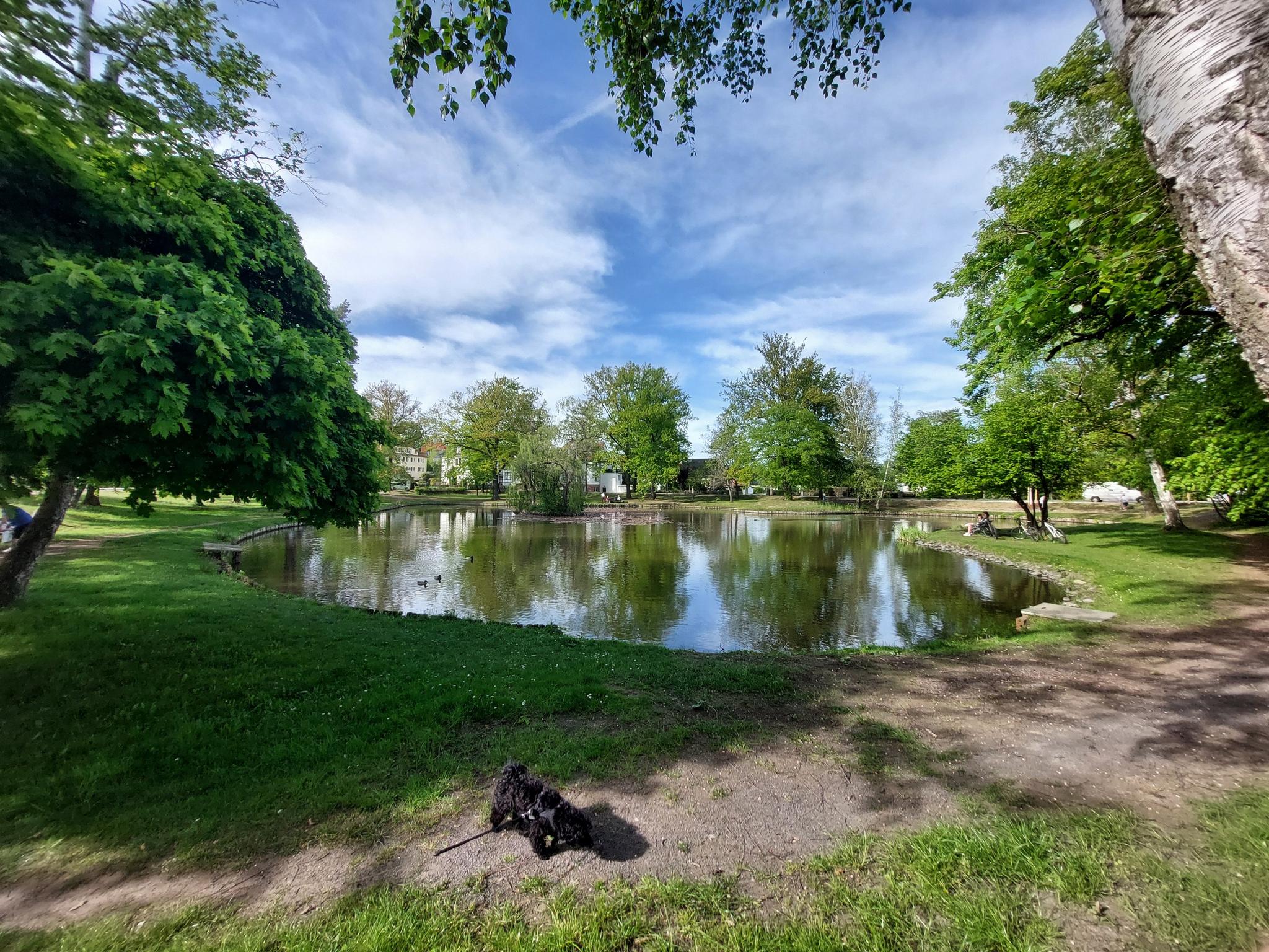 0?width=640&height=360&crop=true&q=70 Tourismus Bad Lausick &ndash; Touren - Rundgang Kurviertel