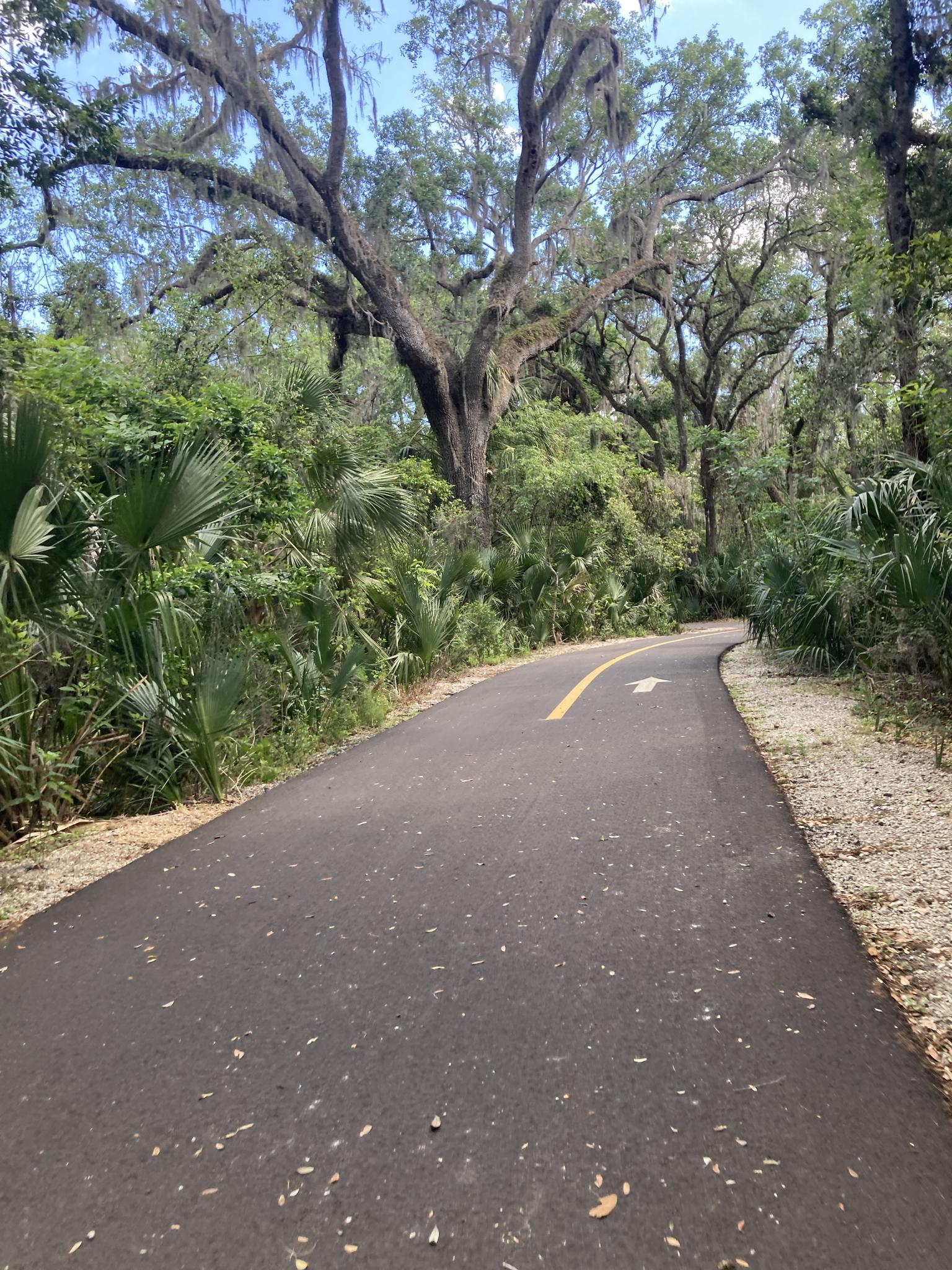 A paved path curves through dense green foliage and large oak trees.