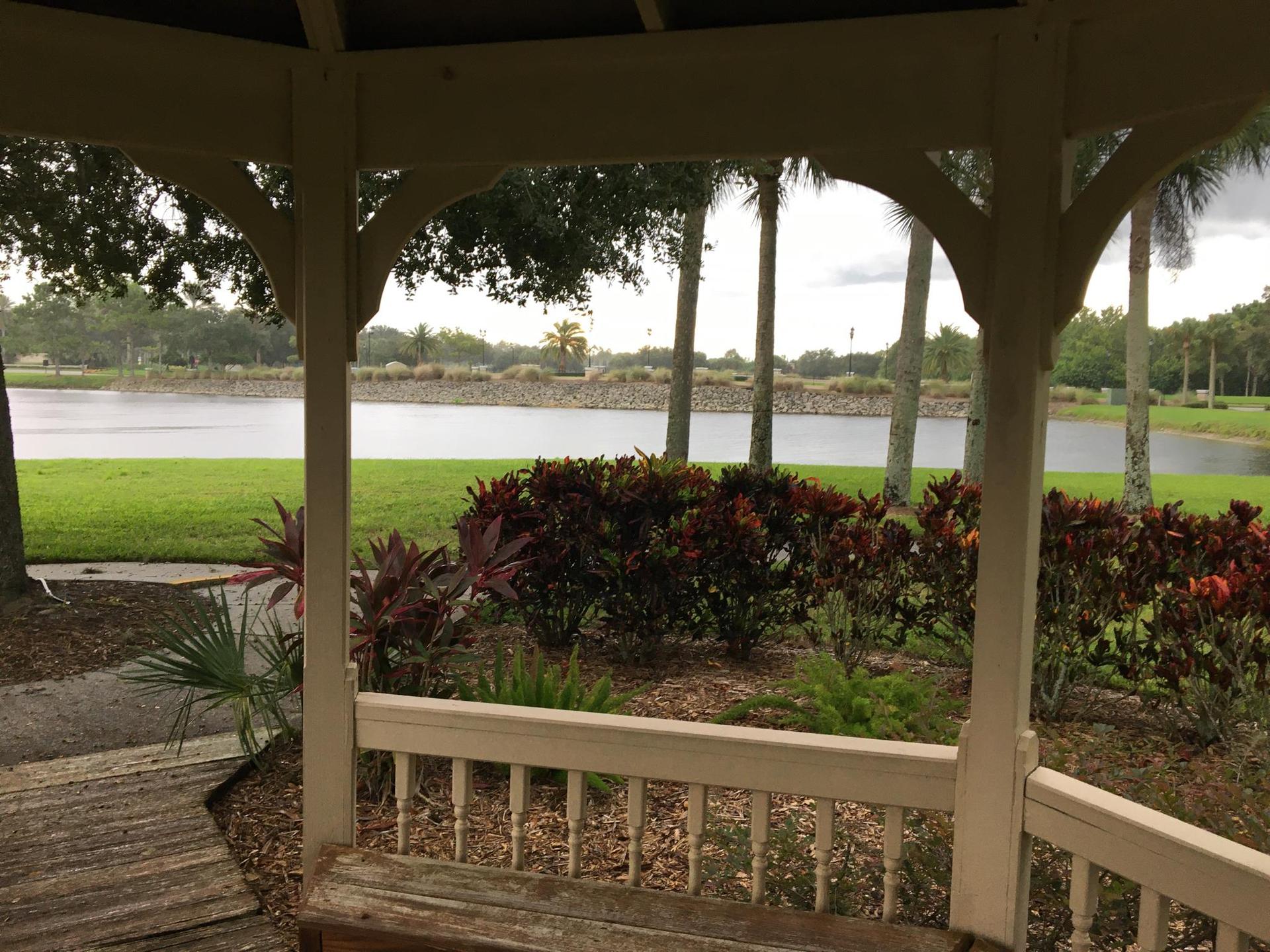 View from inside a gazebo overlooking a lake with tropical plants.