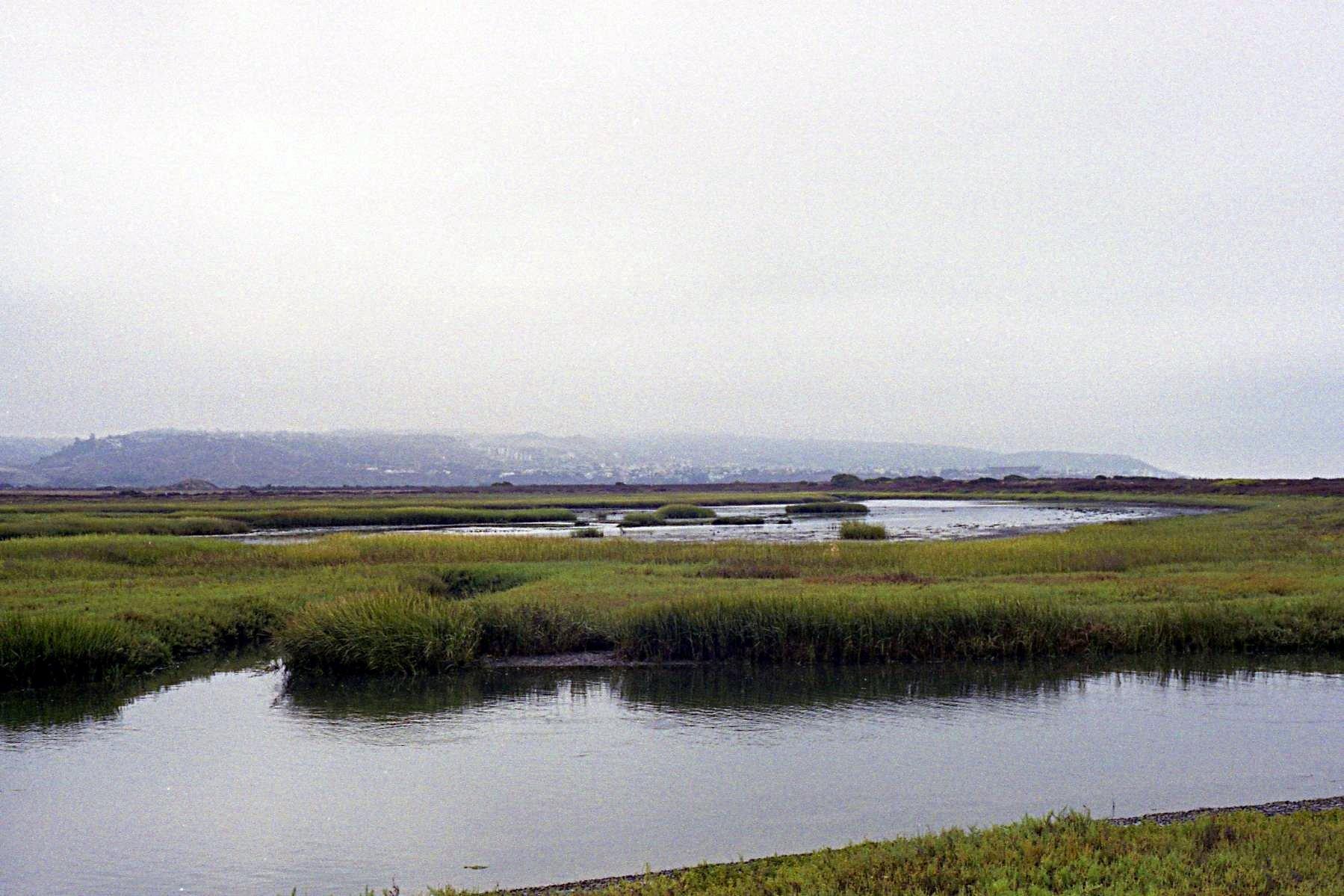 Overcast marshland with winding water channels and green reeds, distant hills.