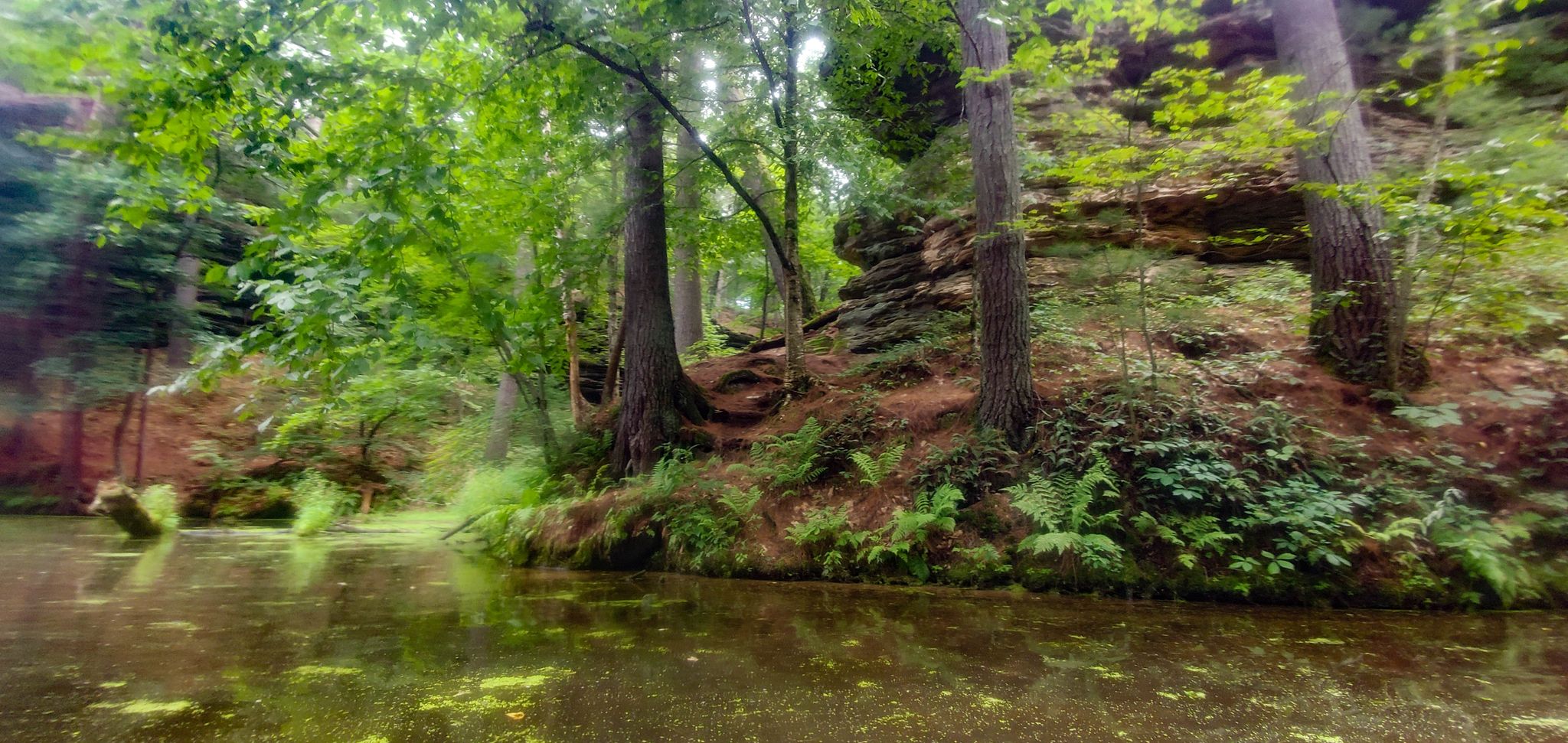 Calm water reflects a lush forest with rocky cliffs and green trees. - Northwest Trail Loop