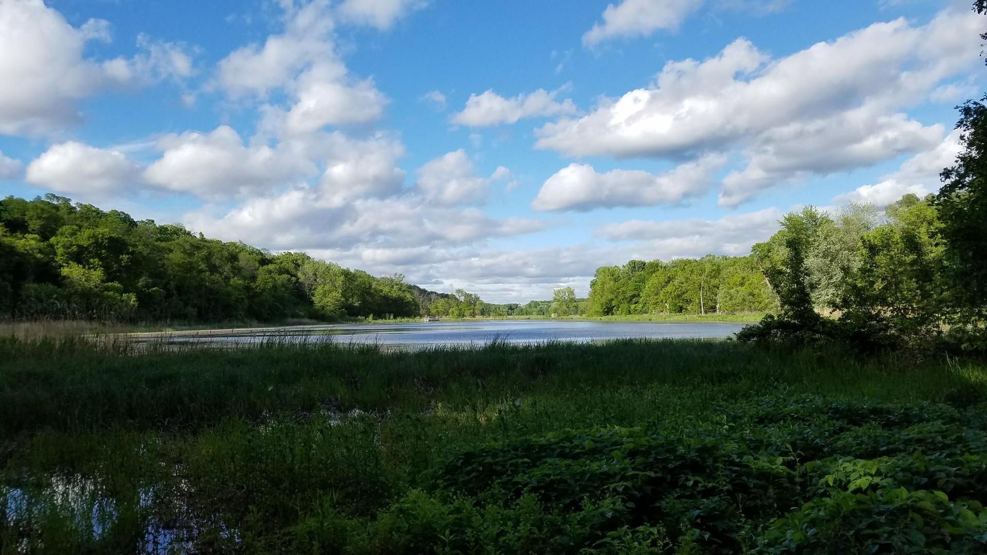 Wide view of a calm lake surrounded by green trees under a cloudy blue sky.