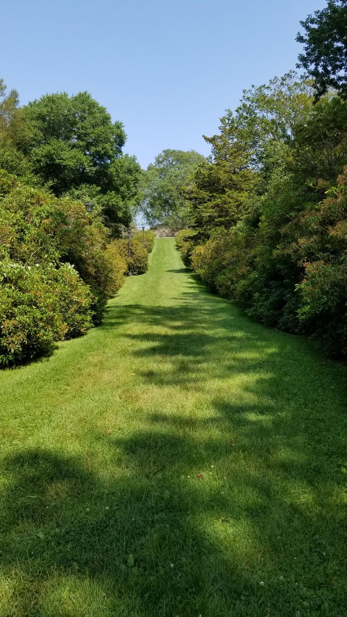 Steep, sunlit green grassy slope flanked by dense trees. - Connecticut College Arboretum loop from Connecticut College Arboretum