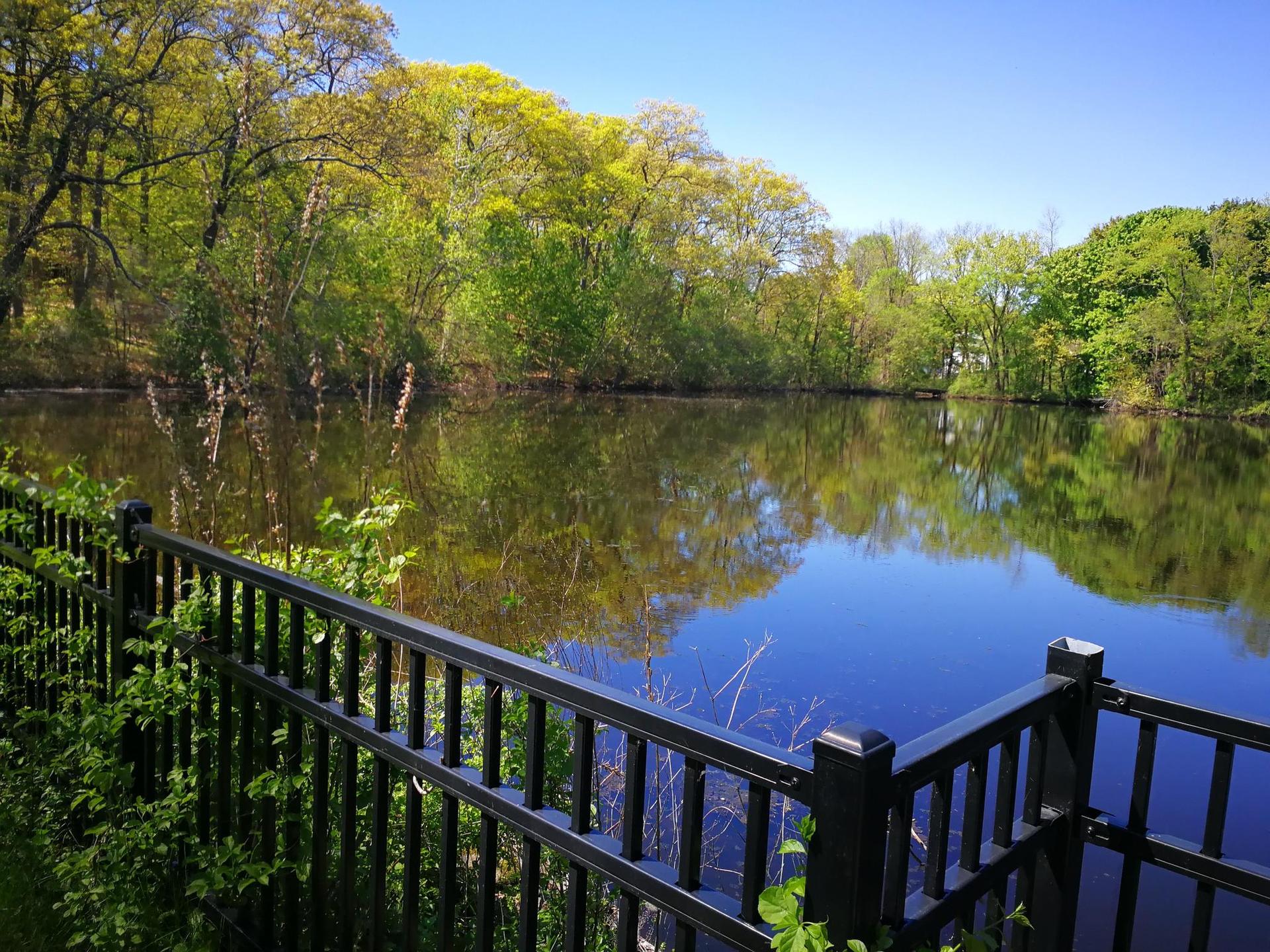 Sunny lake view through a black fence, surrounded by vibrant green trees.