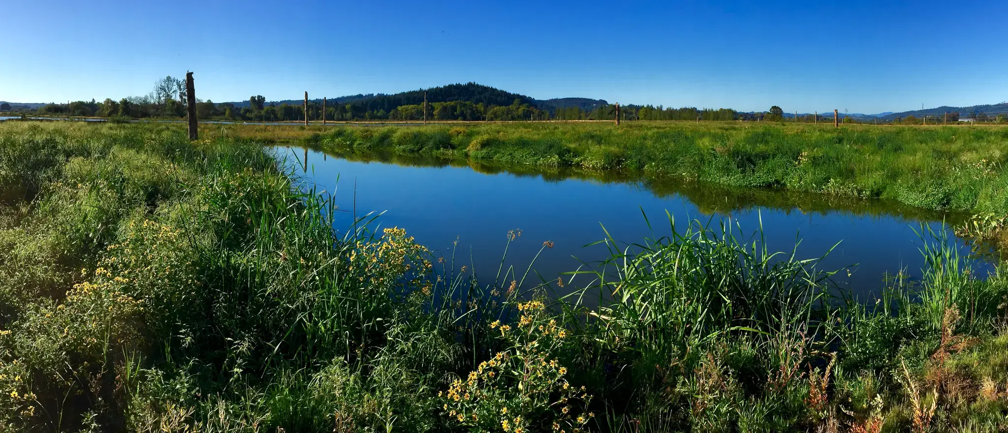 A narrow river winds through lush green fields under a clear blue sky.