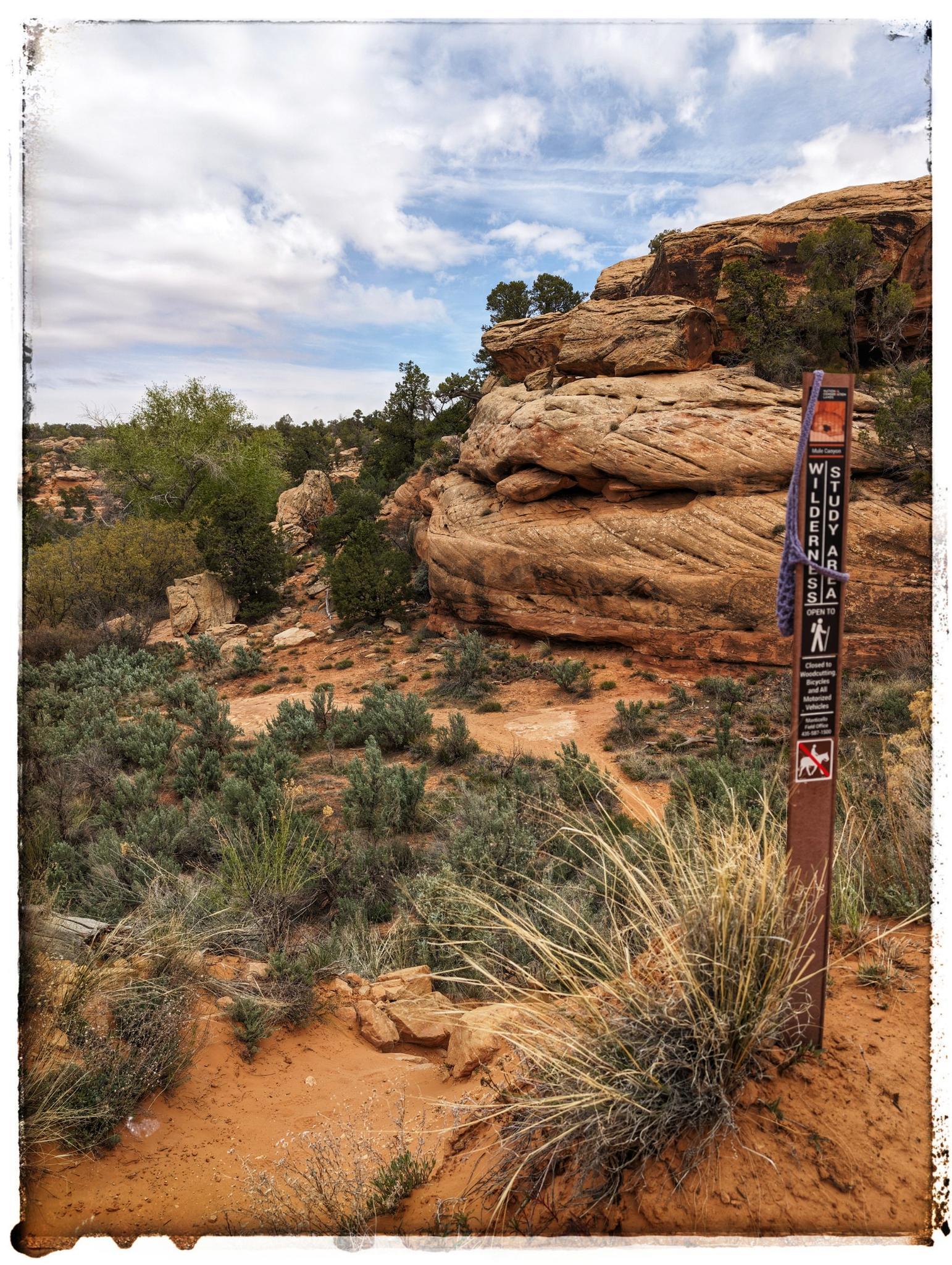A trail marker stands amidst desert shrubs and red rock formations under a cloudy sky.