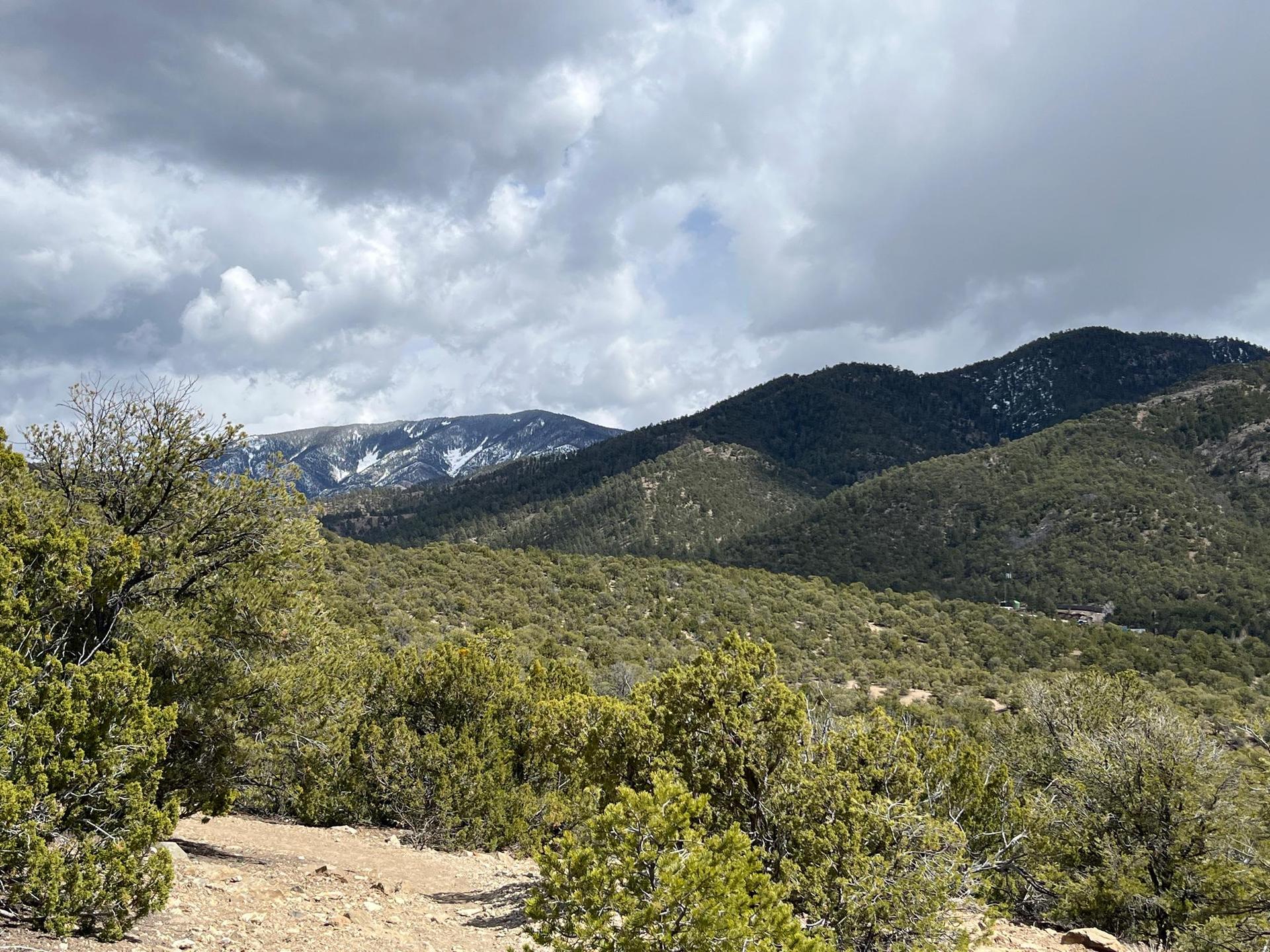 Overcast view of green, forested mountains with distant snow patches.