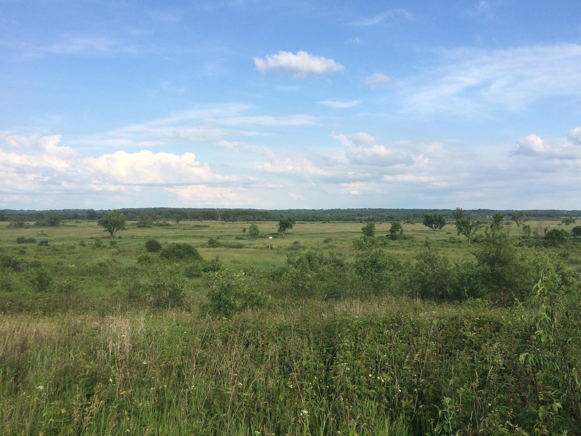 A vast, green, open landscape with scattered trees under a cloudy blue sky.