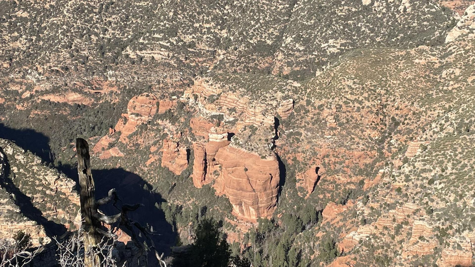 Aerial view of a deep, rocky canyon with green vegetation and shadows.