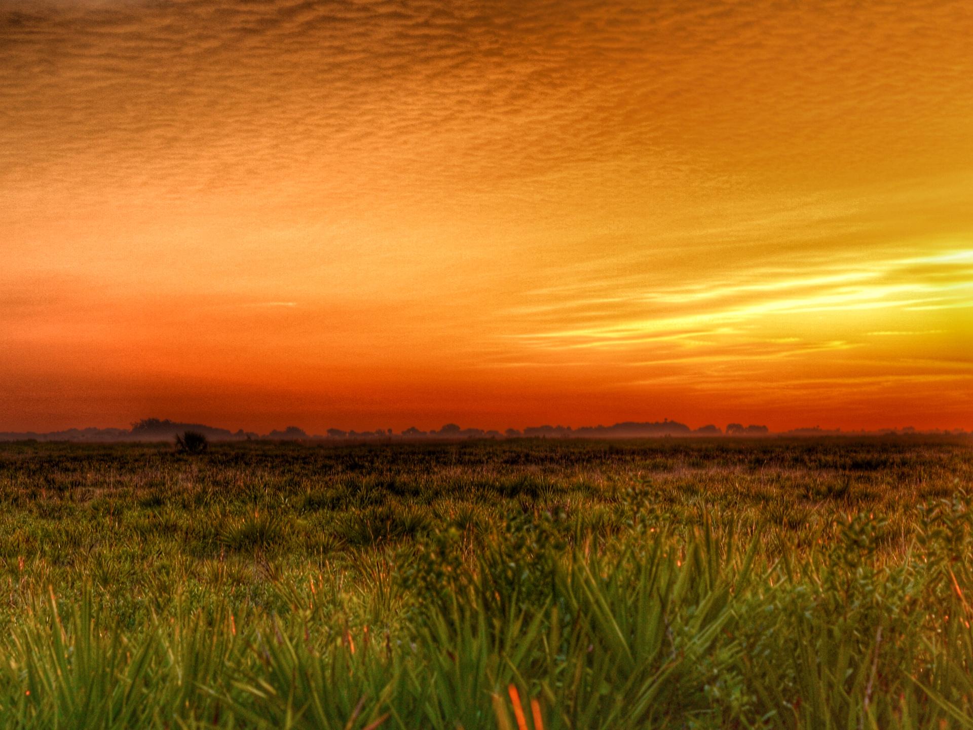 A wide, flat grassy field under a vibrant orange and yellow sunset.