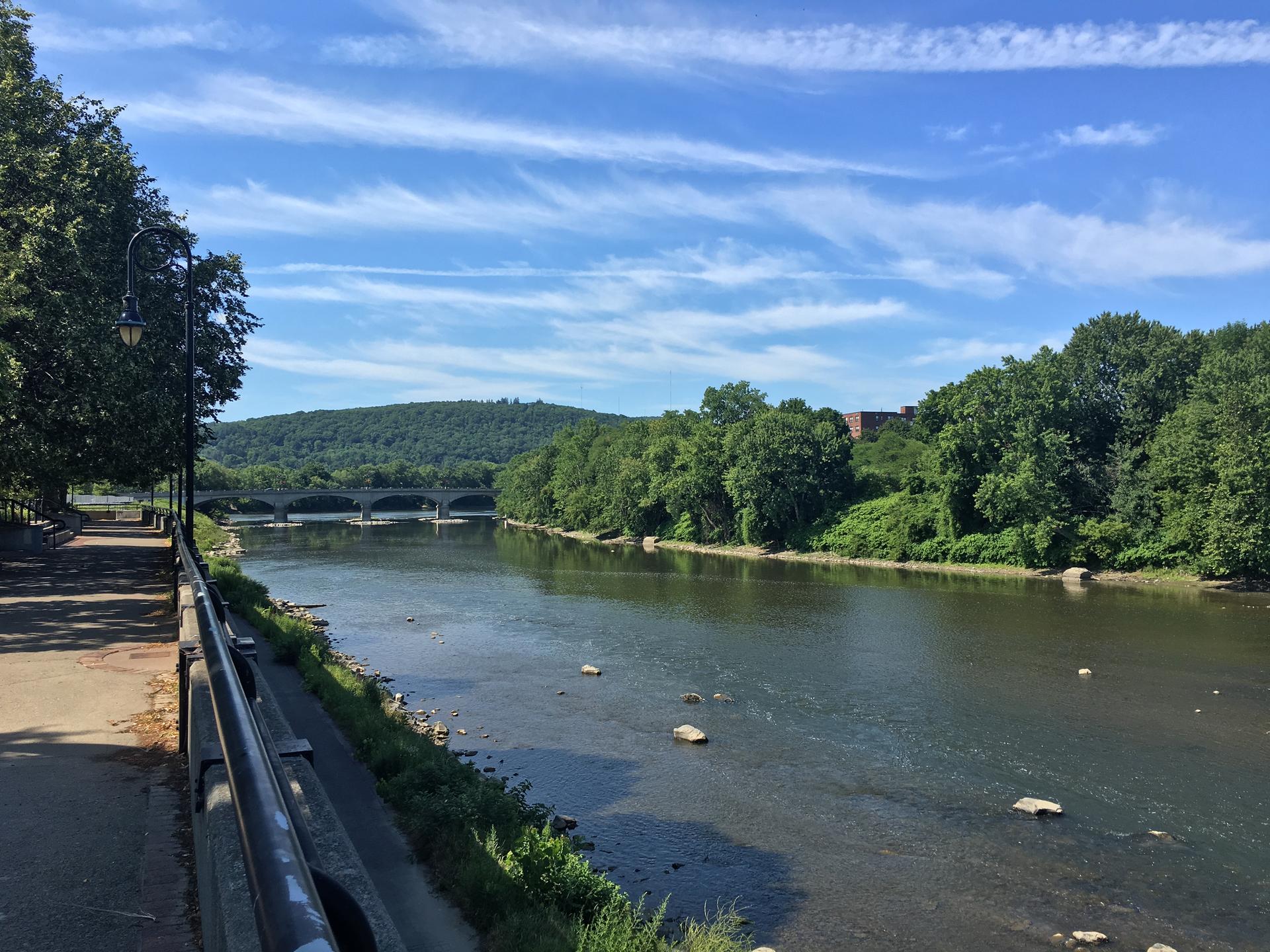 Sunny river scene with tree-lined banks, distant bridge, and blue sky.