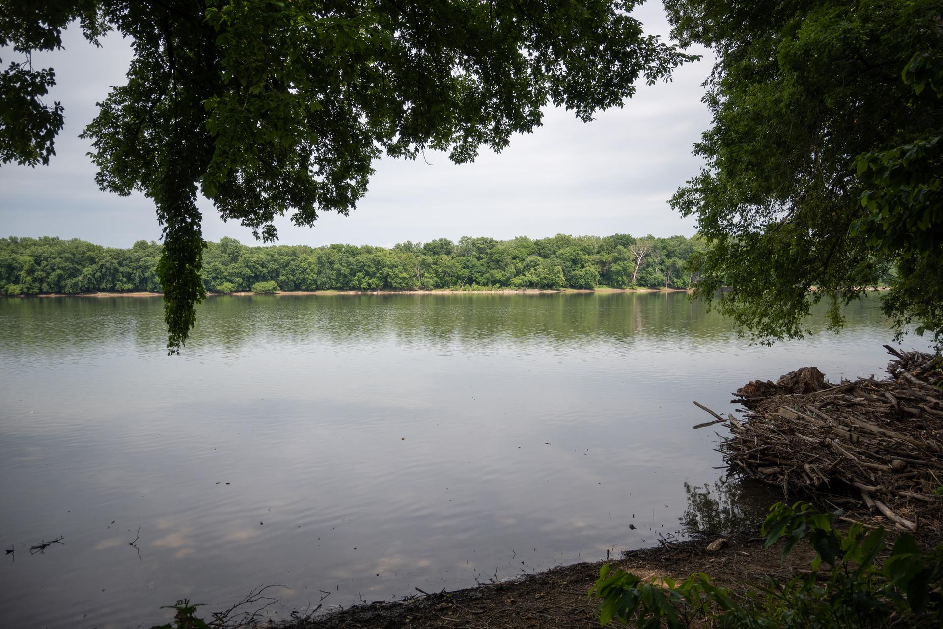 A wide river with a wooded far bank under an overcast sky.