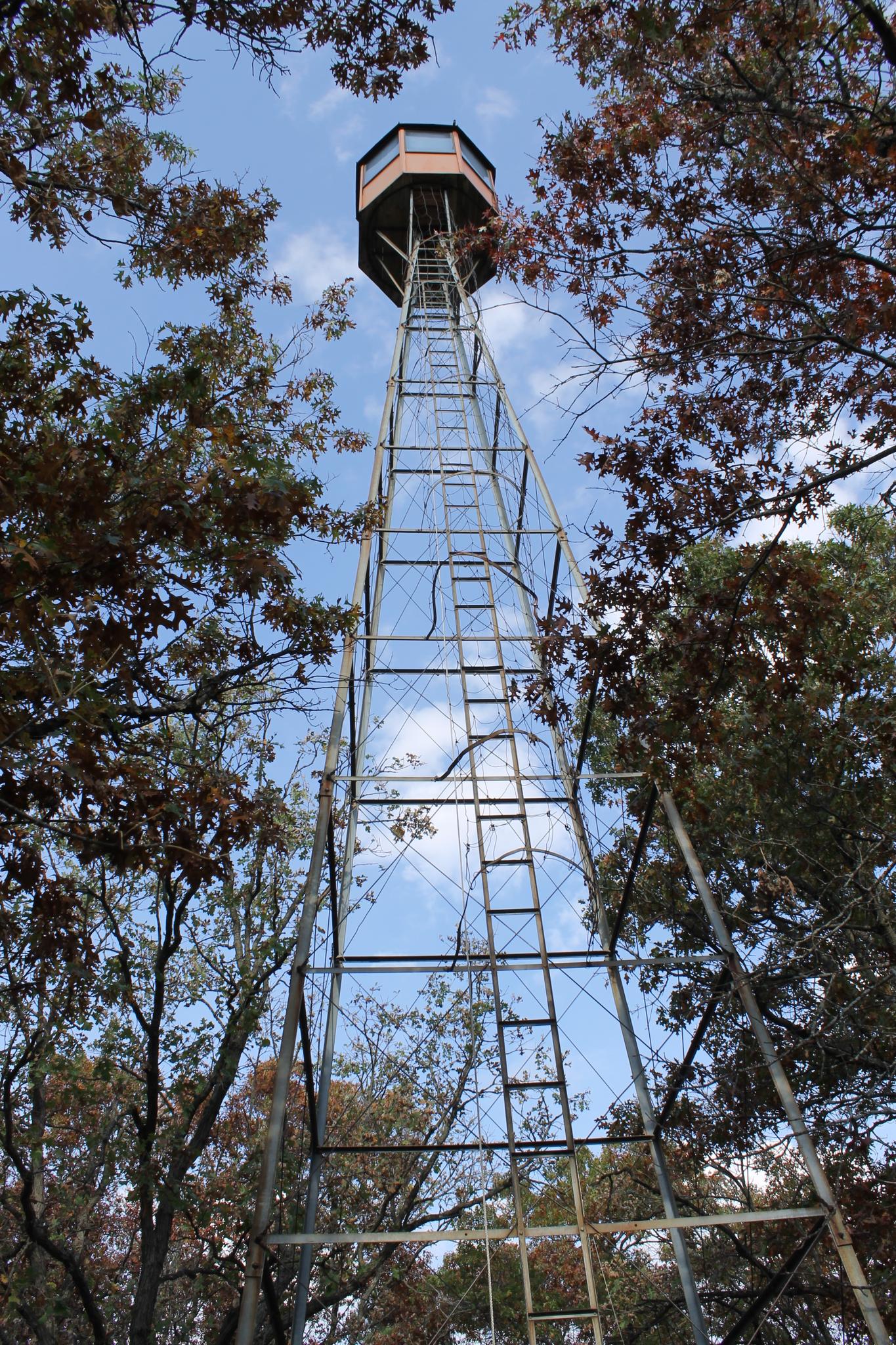 A tall metal observation tower rises above autumn trees against a blue sky.