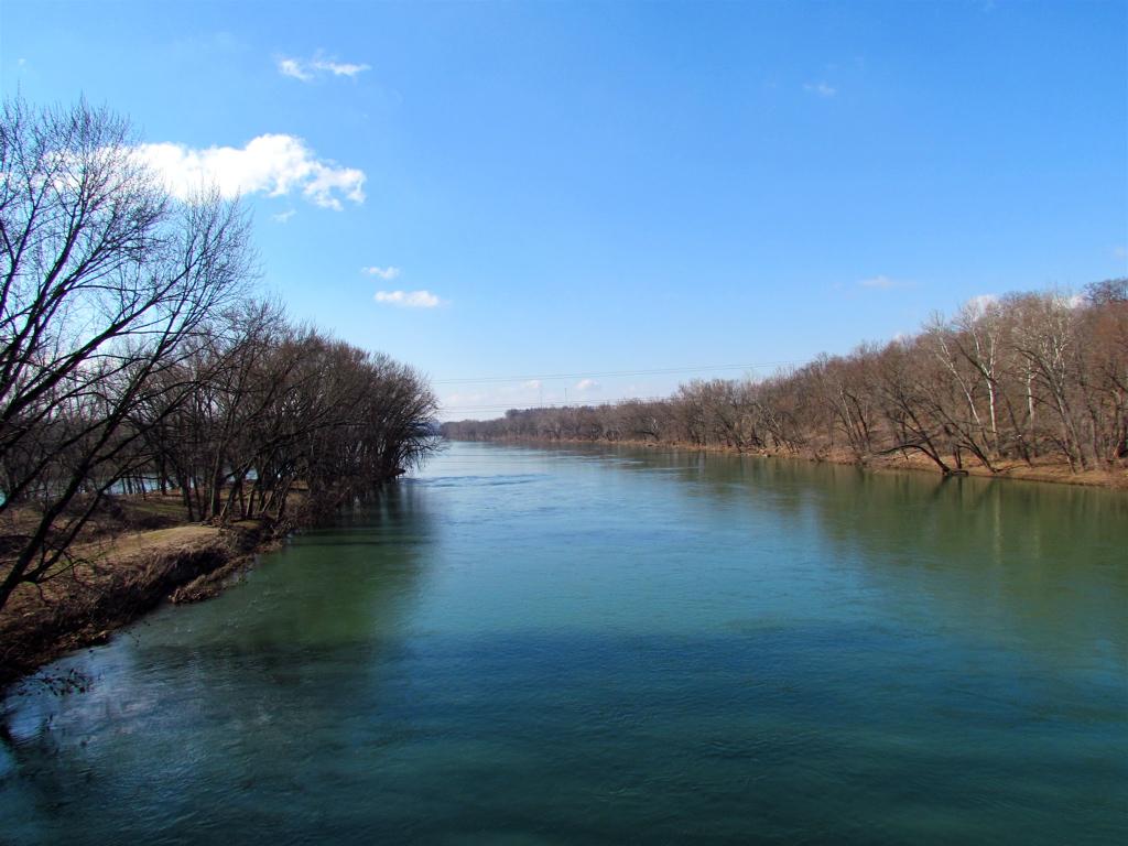 Wide river flowing between banks of bare trees under a bright blue sky.