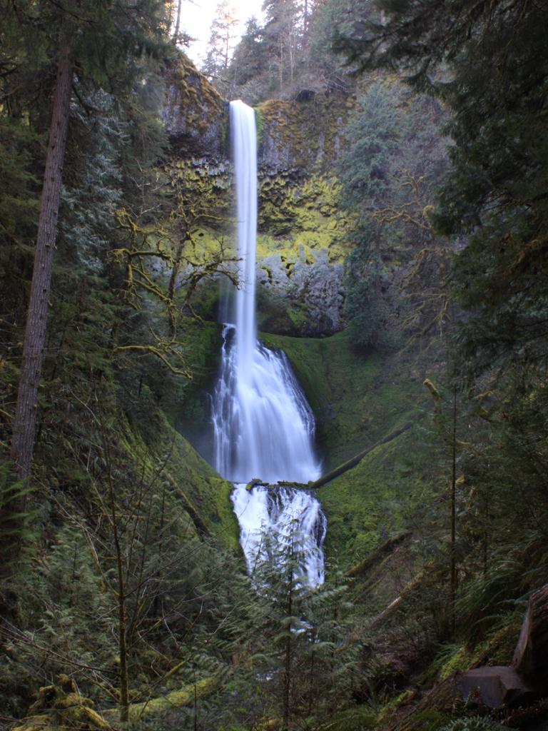 Tall waterfall cascades down mossy cliffs in a lush, dark forest.