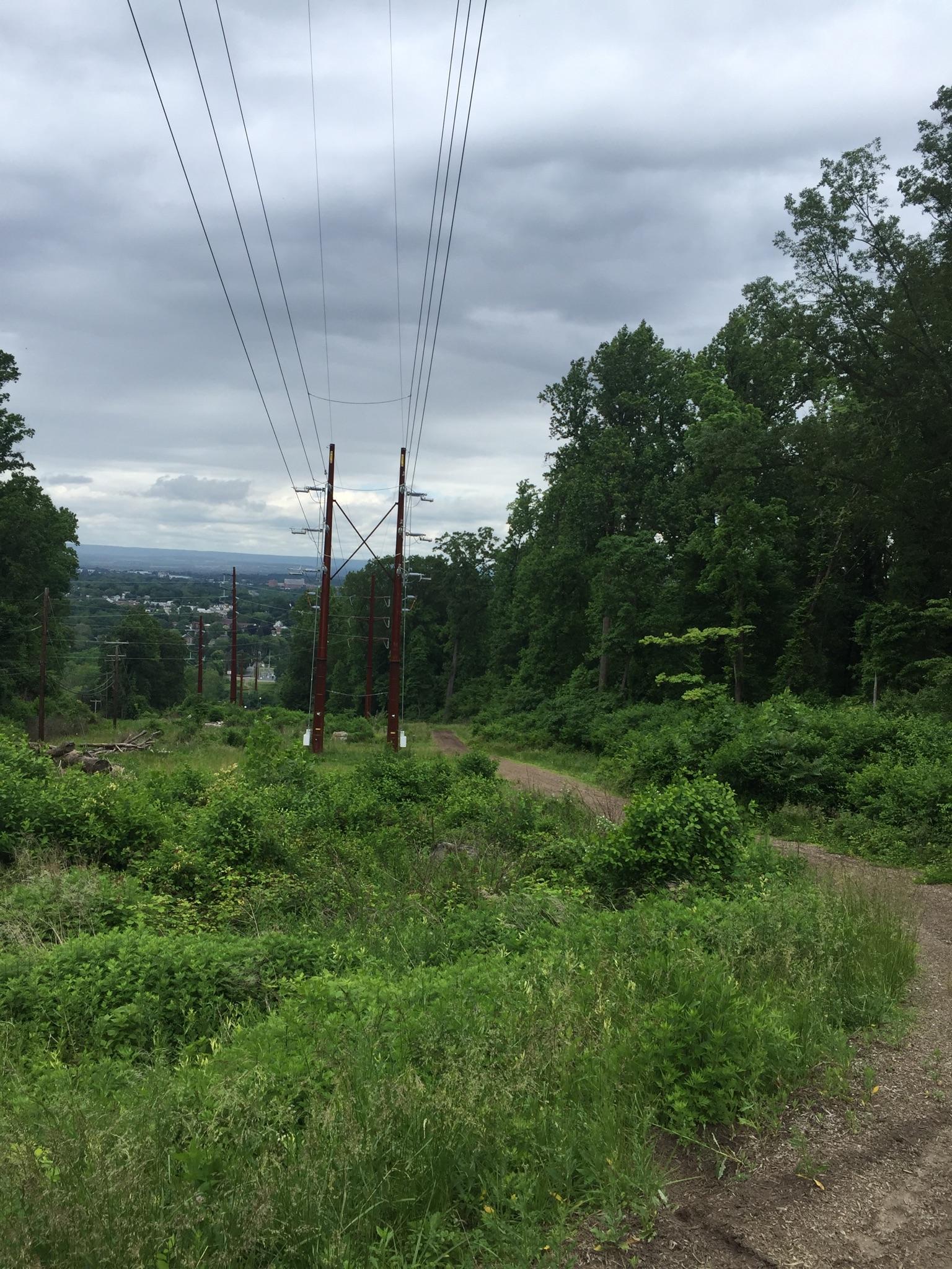 Power lines stretch over a dirt path and green landscape under a cloudy sky.