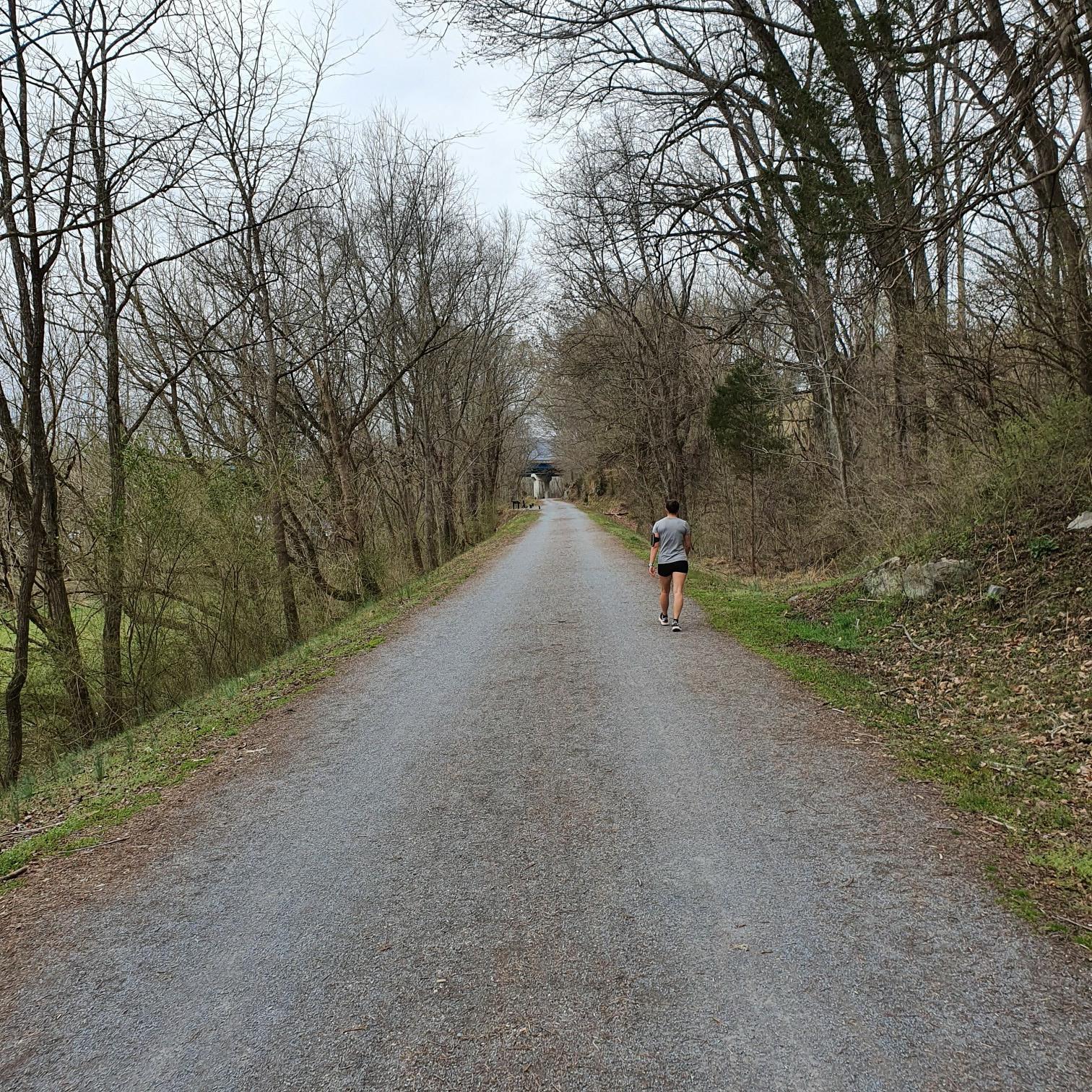 Person walks uphill on a gravel path lined with bare trees.