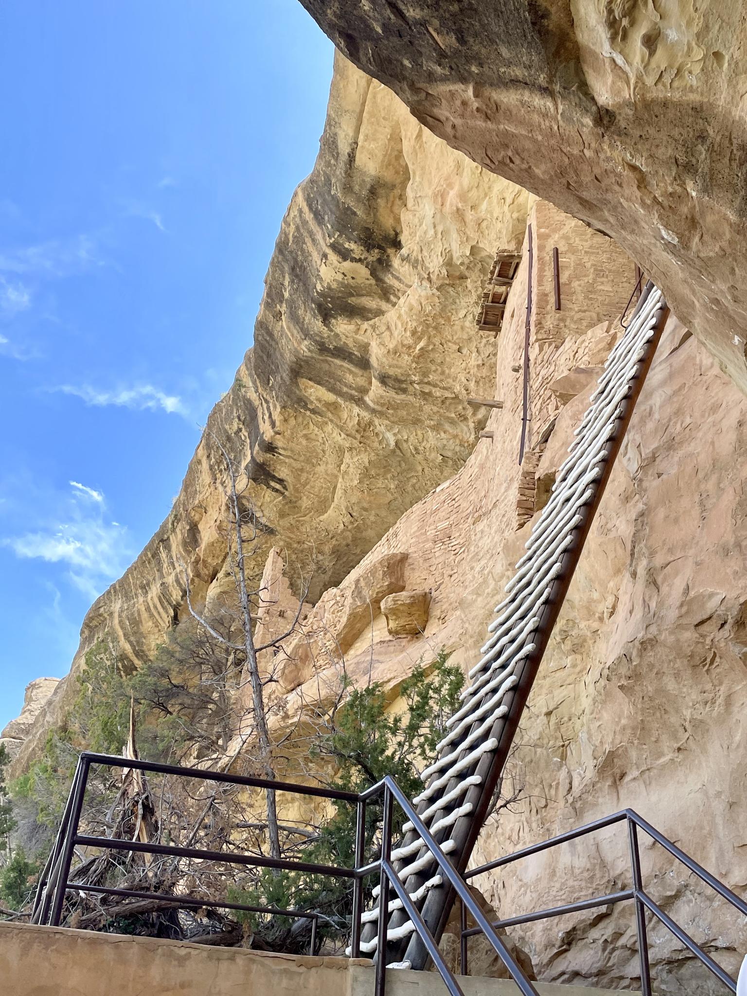 Long wooden ladder leading up a cliff face to ancient dwellings.