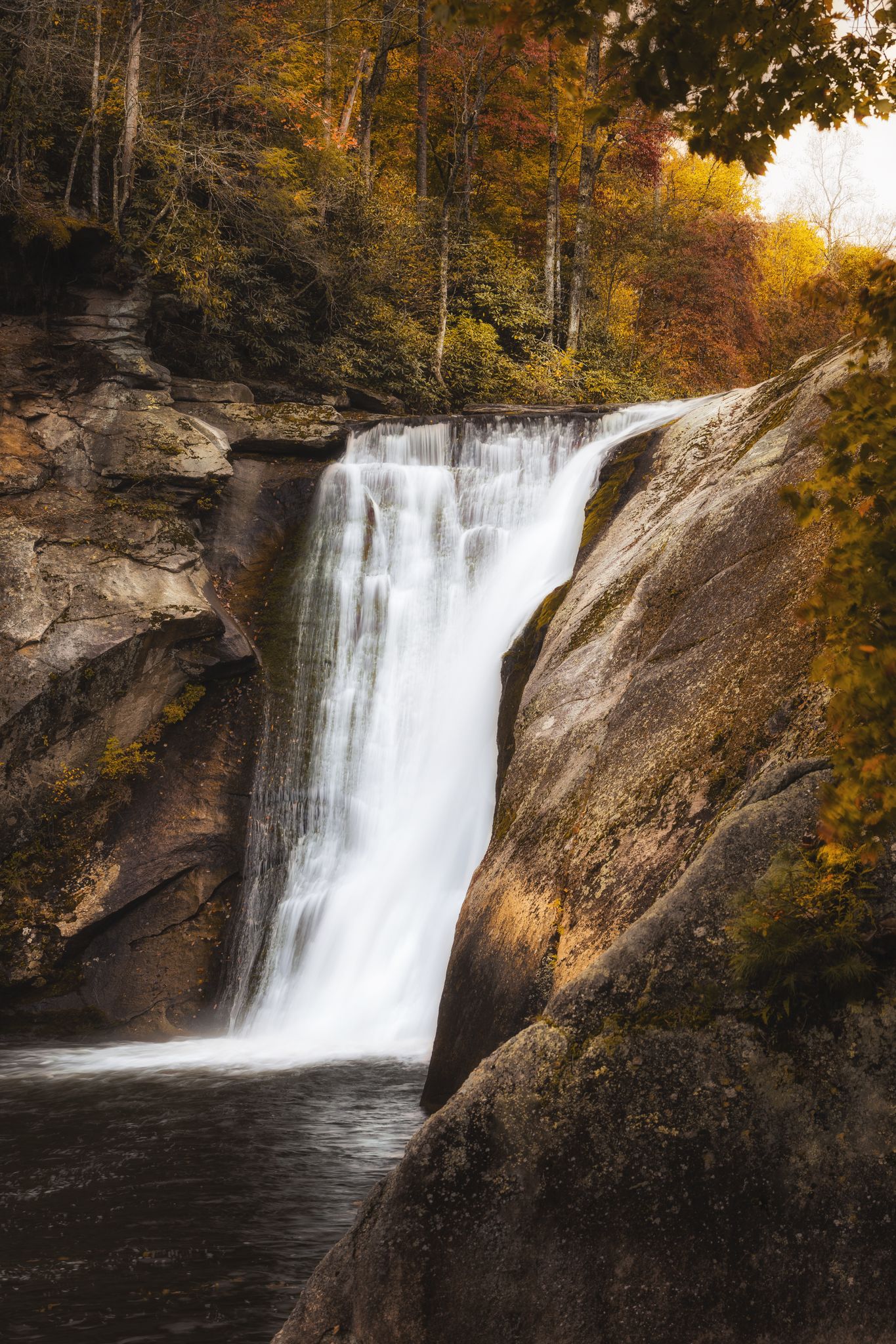 Powerful waterfall plunges over rocky cliffs, surrounded by vibrant autumn trees. - Jones Falls and Splash Dam Falls from Elk River Falls