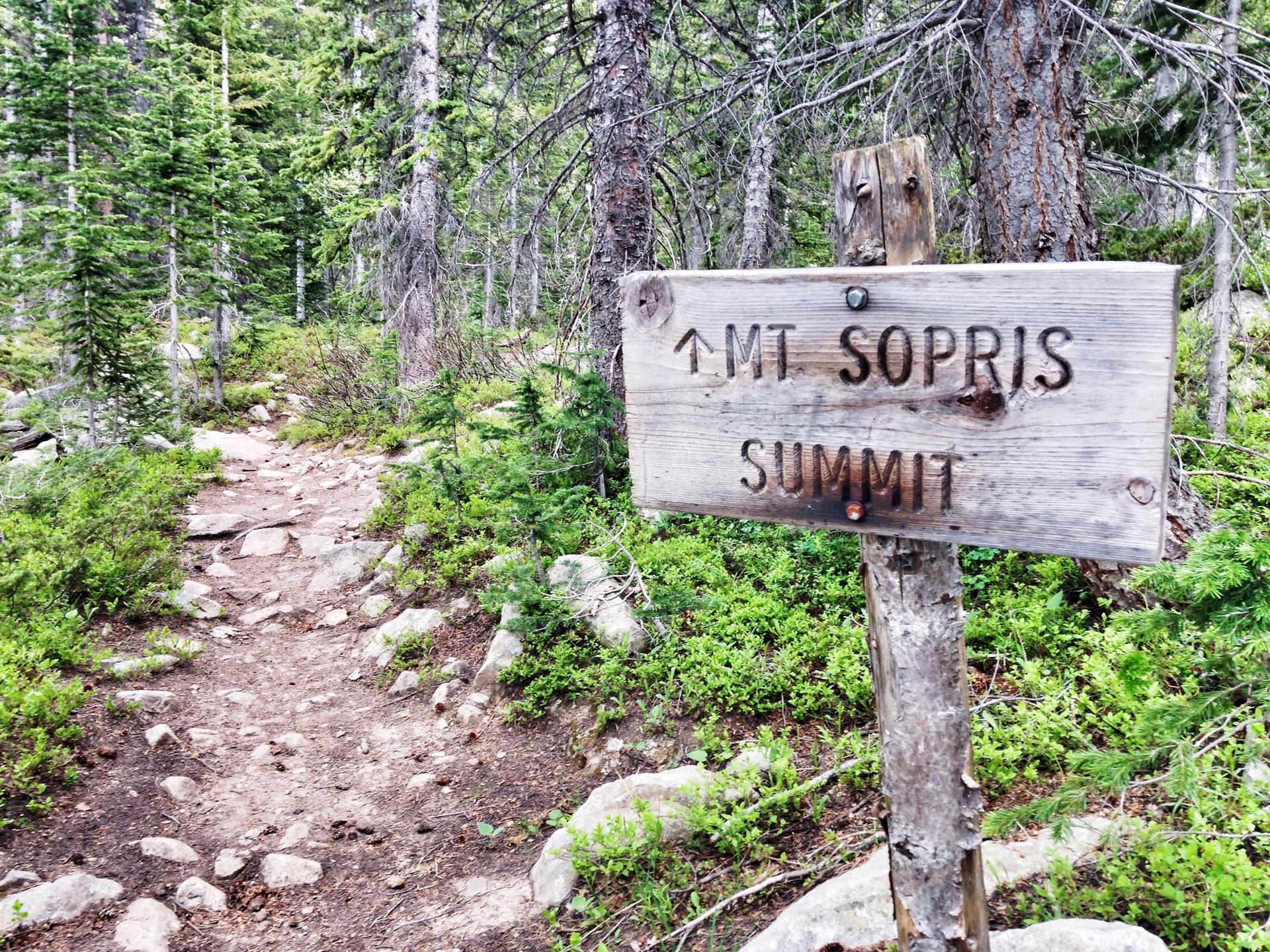 Weathered wooden signpost on a rocky forest trail, pointing upwards.