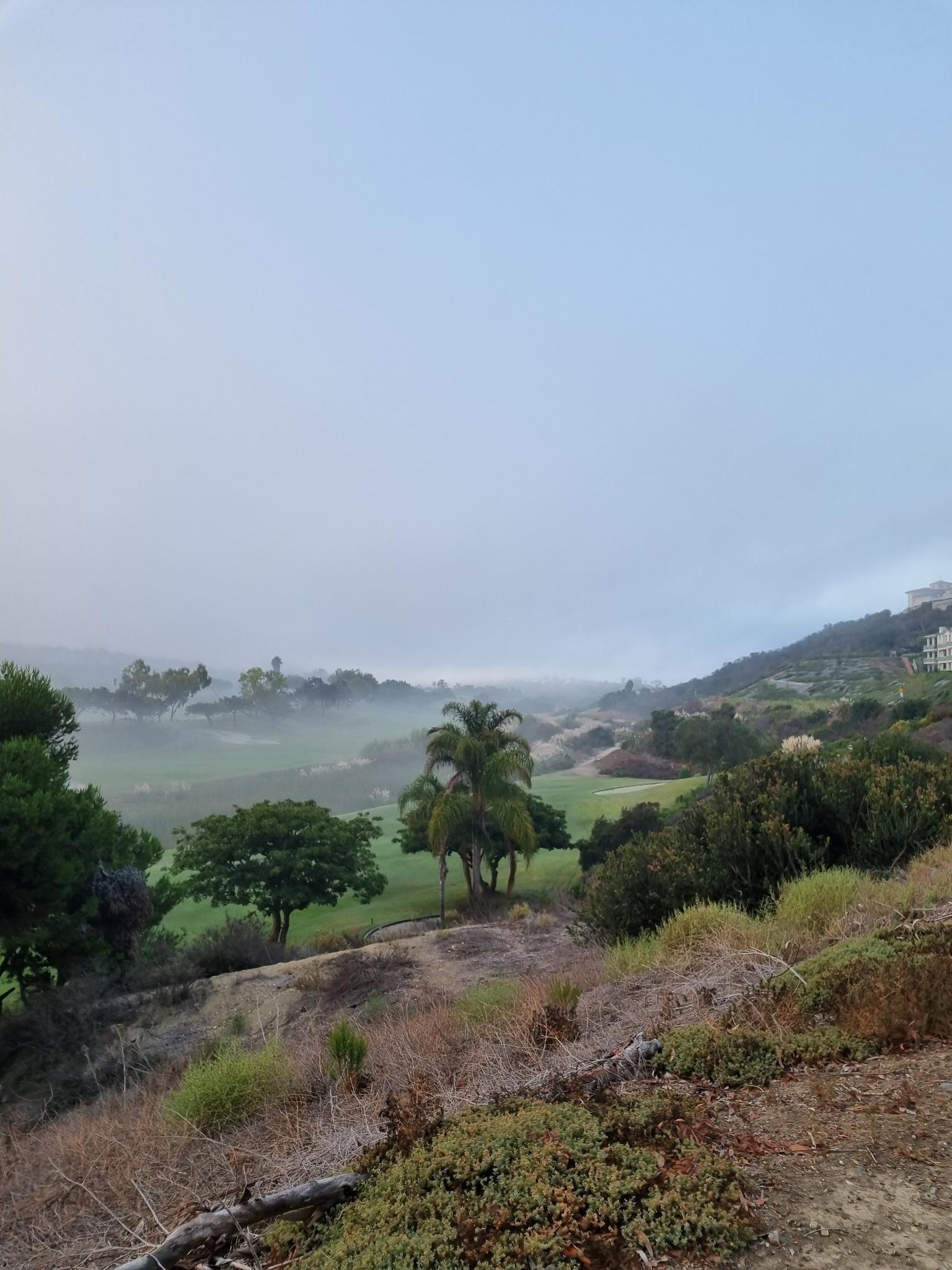 Misty golf course landscape with green fairways, palm trees, and distant hills.