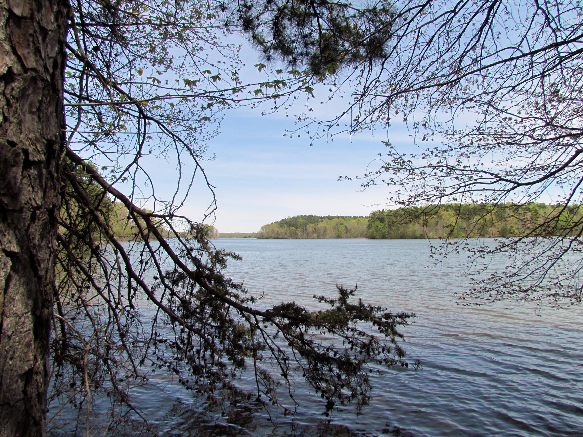 Wide lake framed by tree branches under a bright, clear sky.