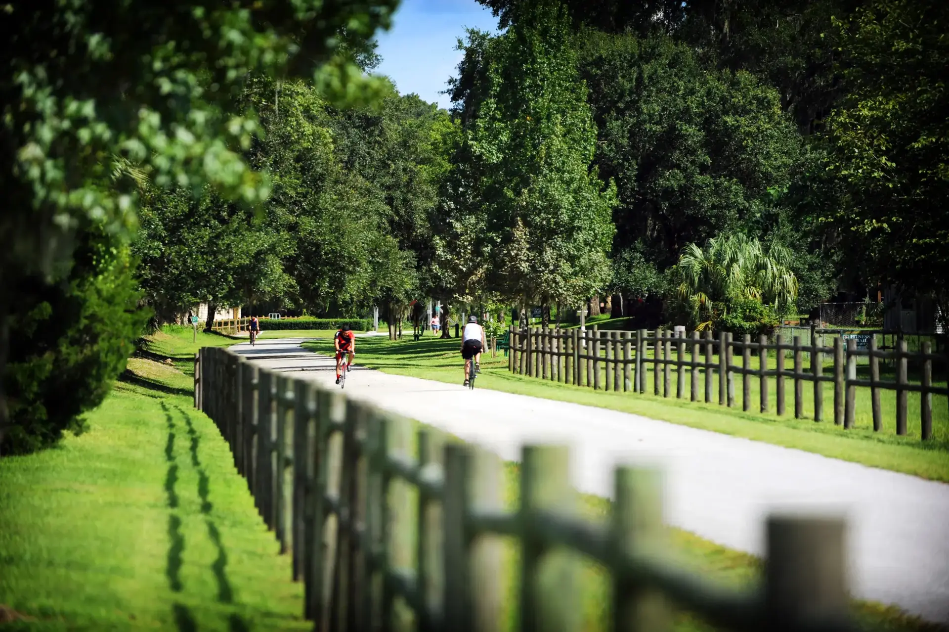 Cyclists ride on a sunny paved path bordered by green grass and trees.