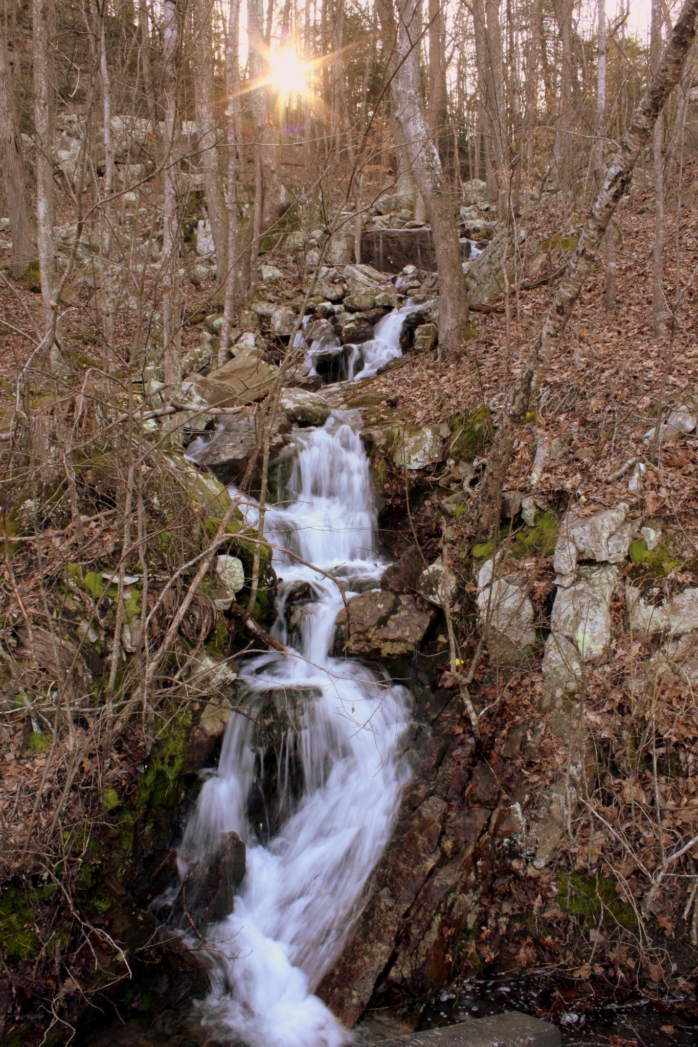 Sunburst over a rocky waterfall cascading through a bare forest.