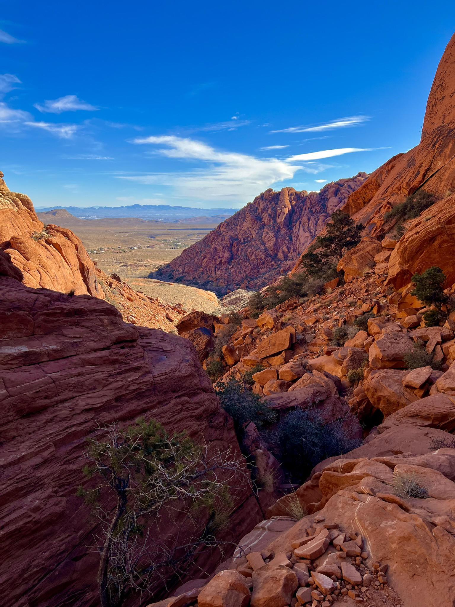 Sunny desert landscape with deep red canyons and distant mountains.