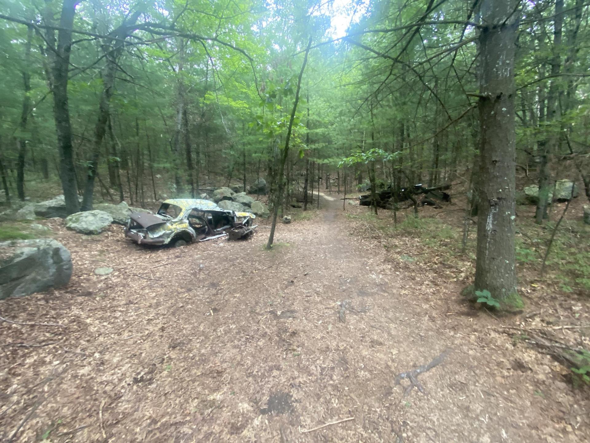 Abandoned, rusted car wreck next to a dirt path in a green forest.
