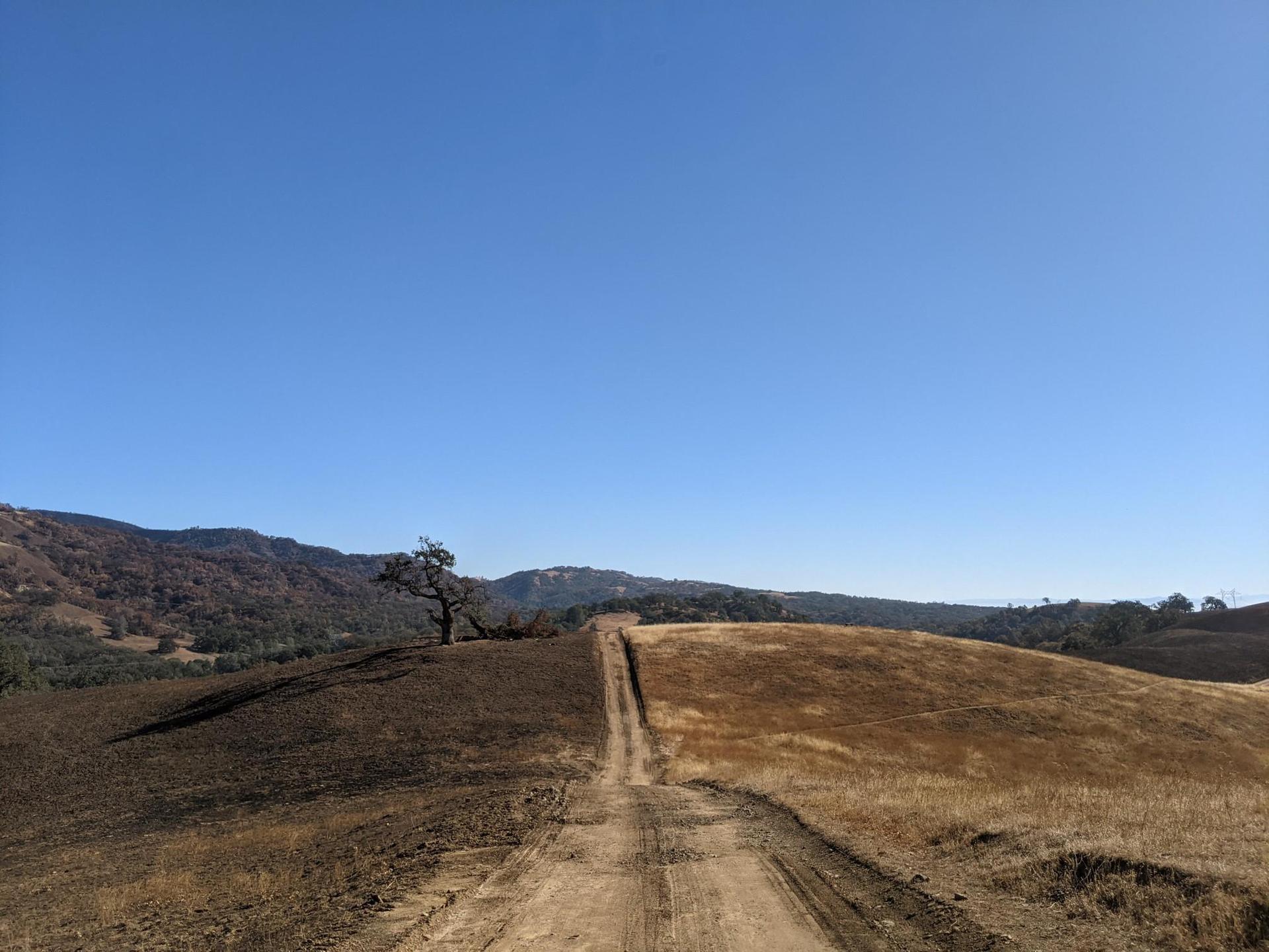 A dirt path divides hills, one dark, one golden, under clear sky.